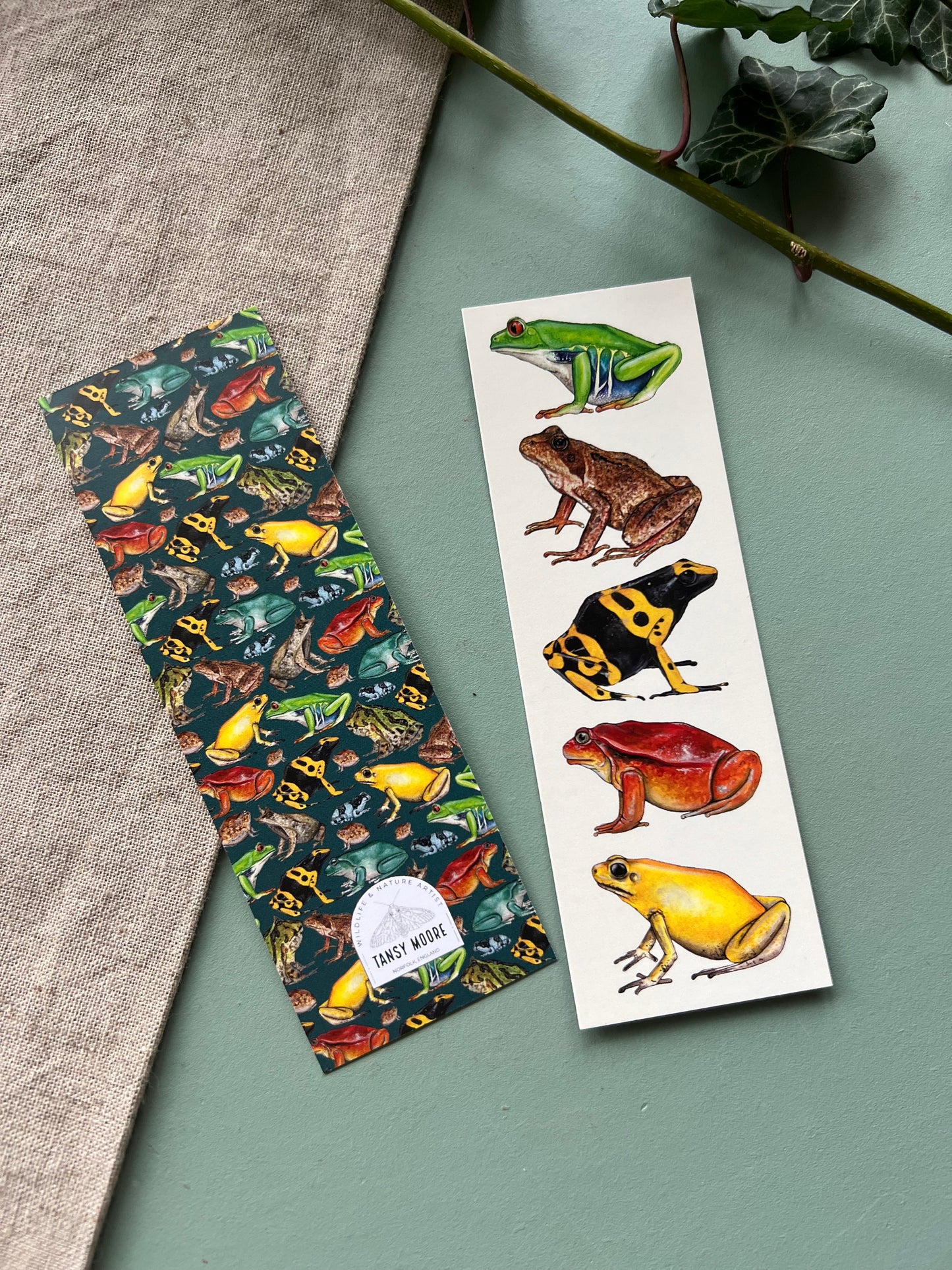 Frog Bookmark