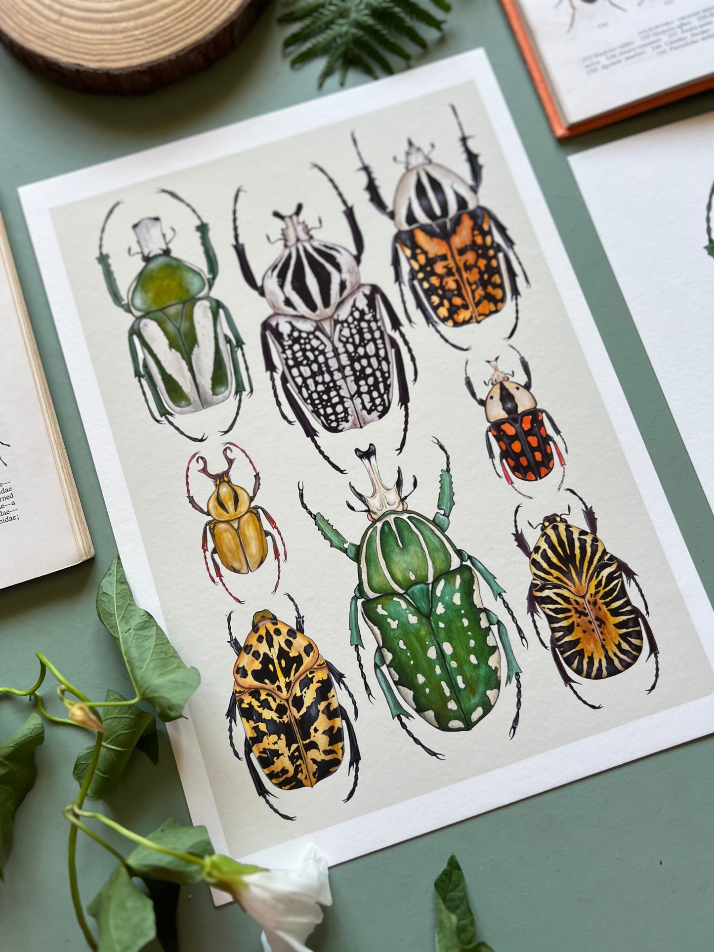 Beetles Print
