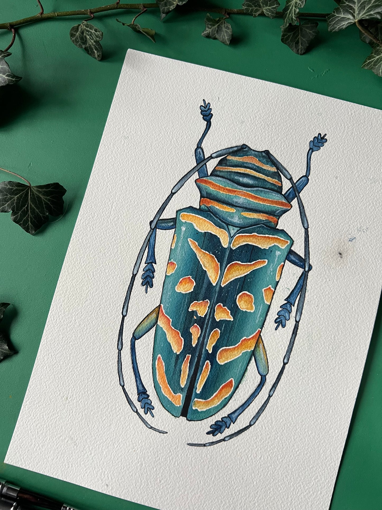 Jewel Longhorn Beetle