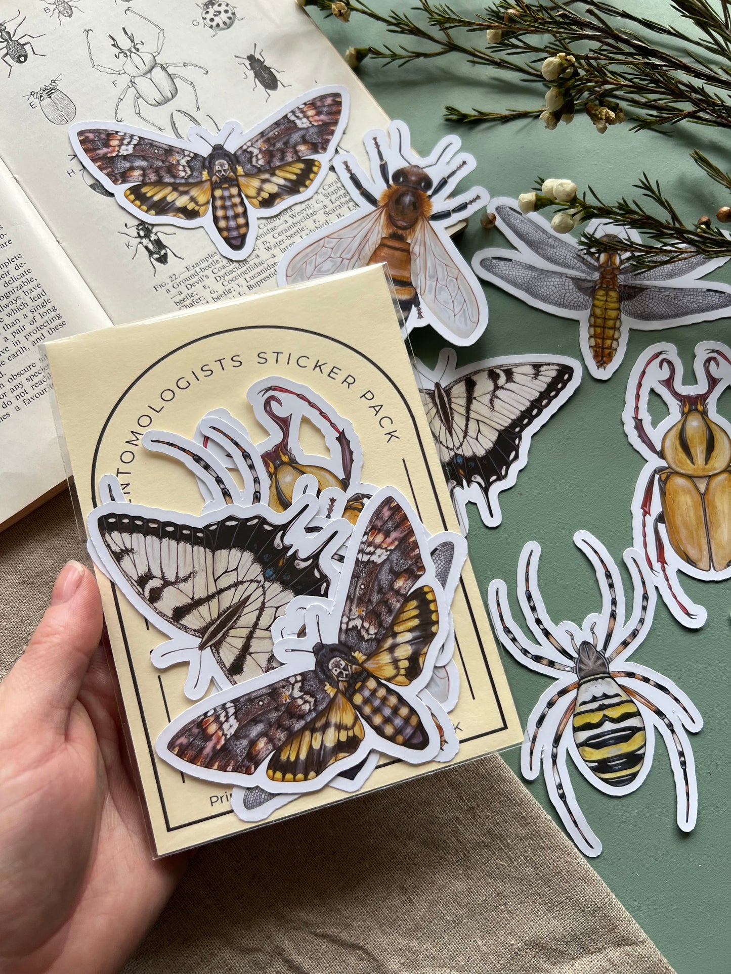 Entomology Sticker Set