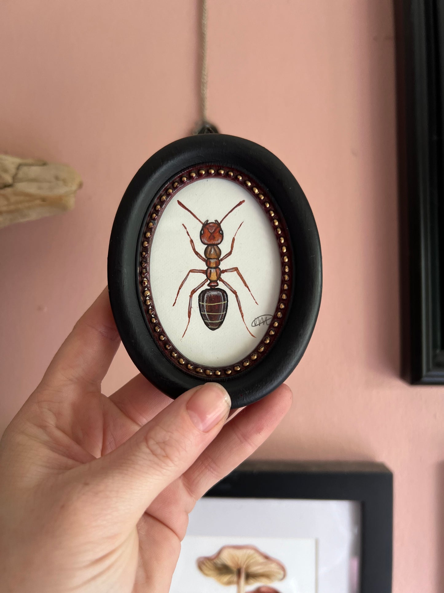 Red Ant