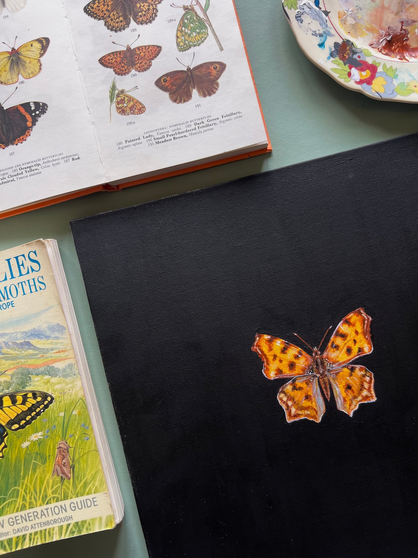Comma Butterfly