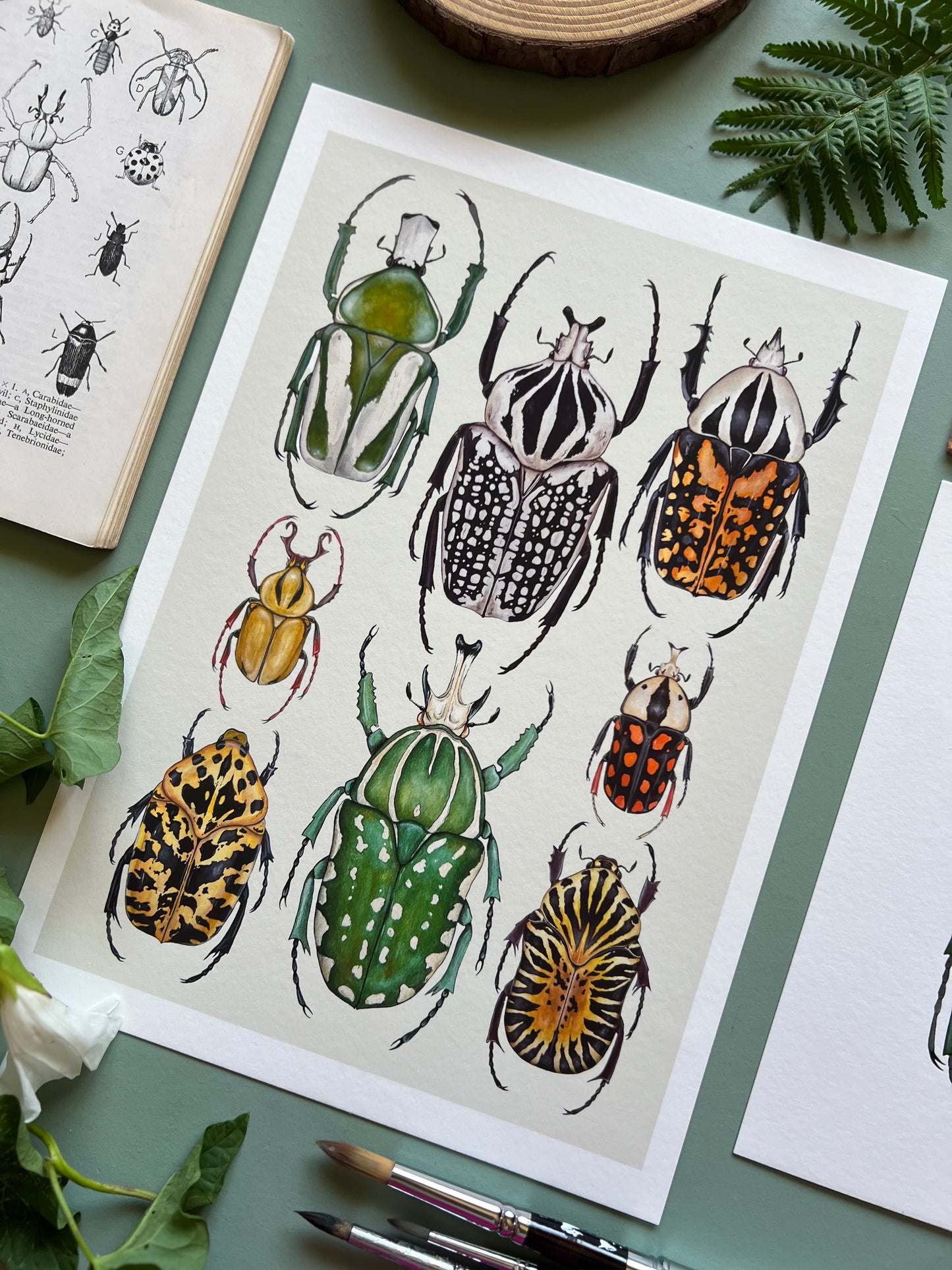 Beetles Print