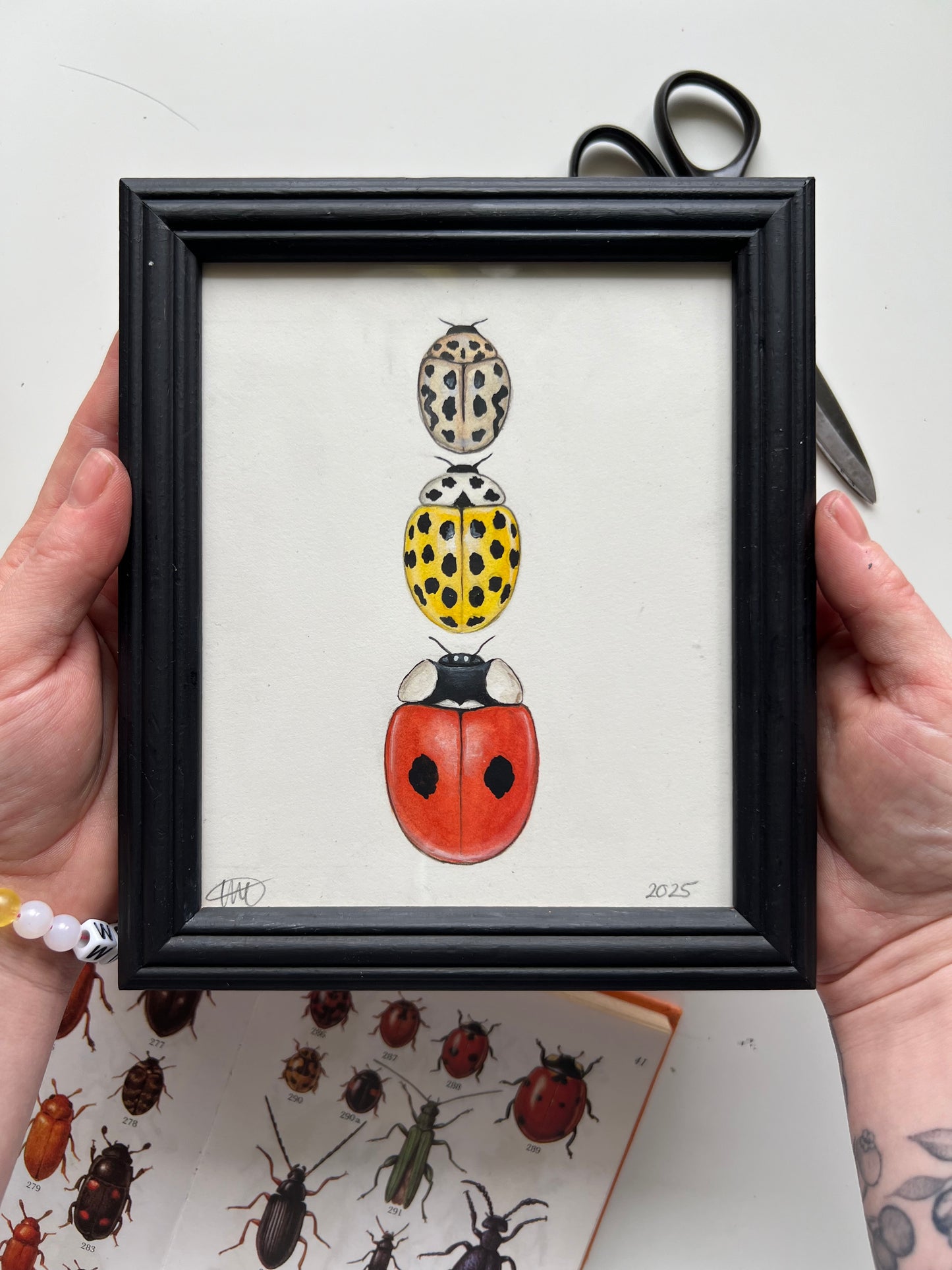 3 Ladybirds Framed Original
