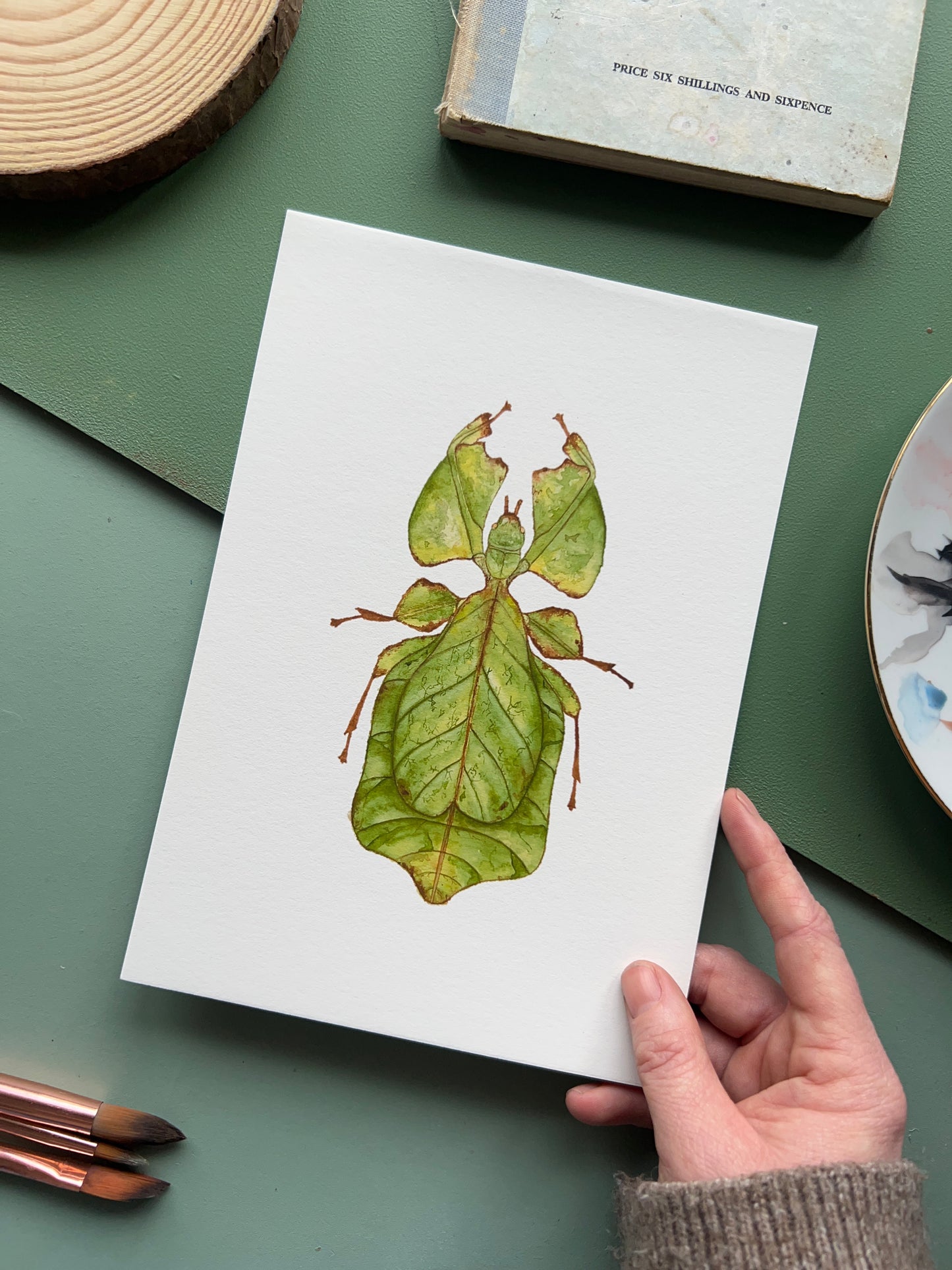 Giant Leaf Insect