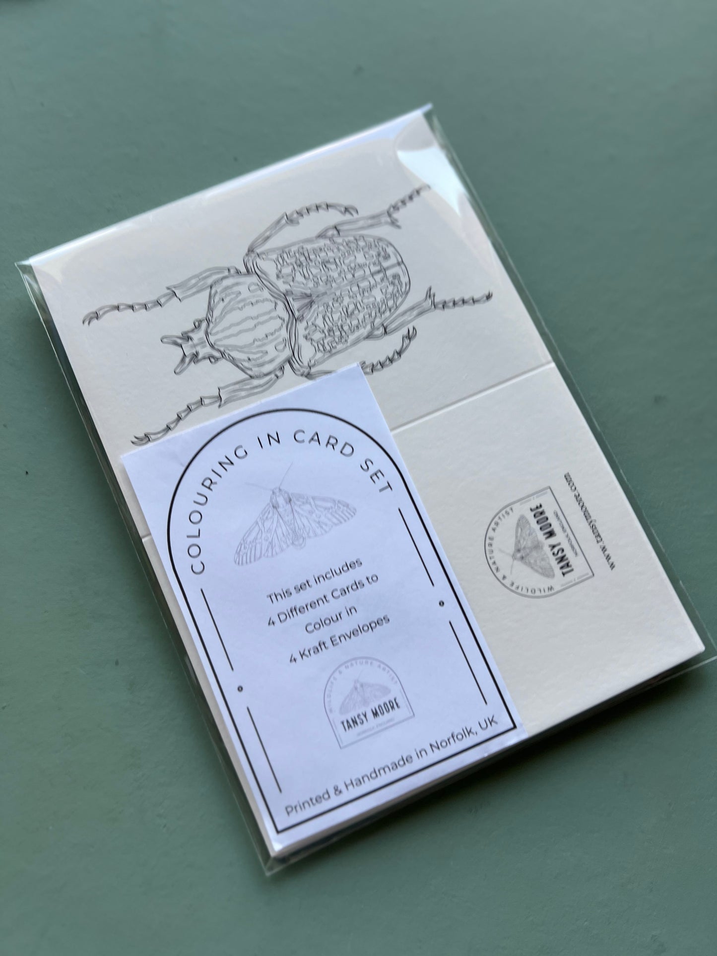 Beetle Colouring in Card Set