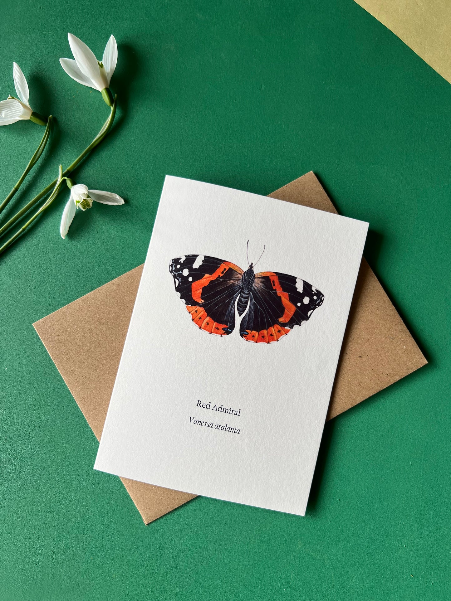 Red Admiral Card