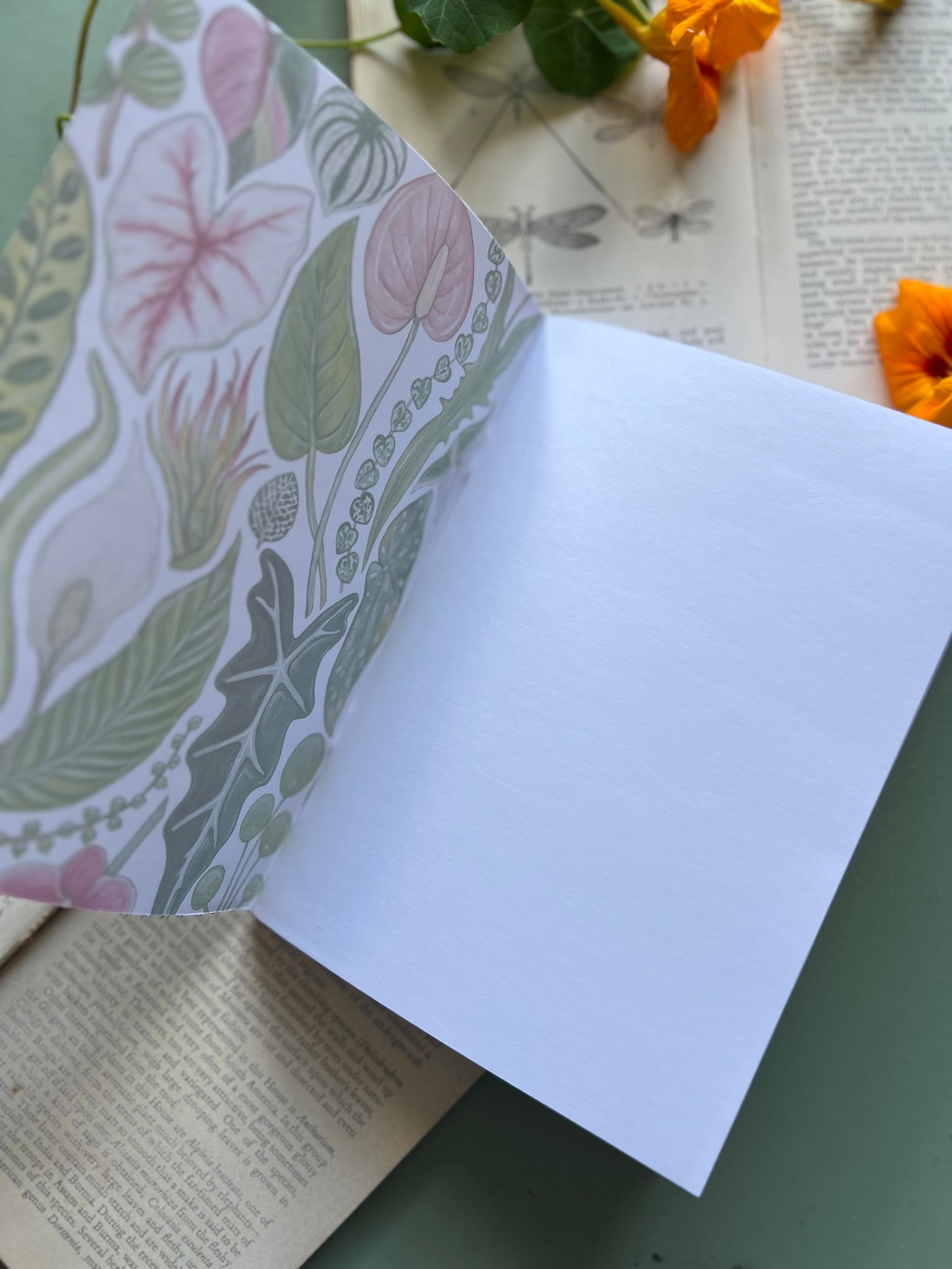 House Plant Notebook