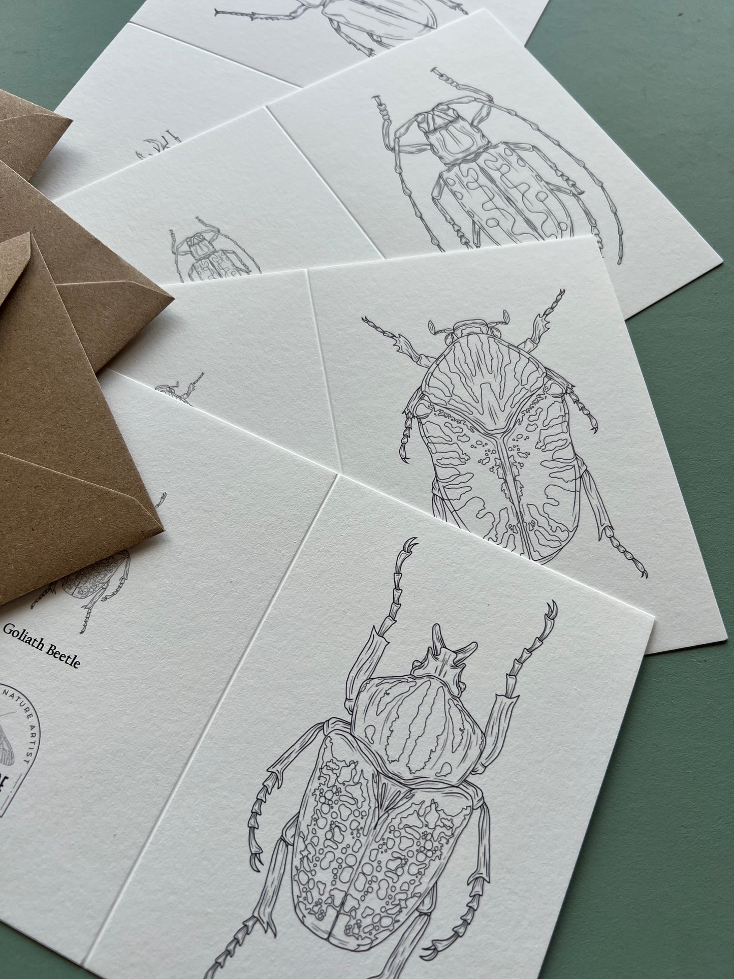 Beetle Colouring in Card Set