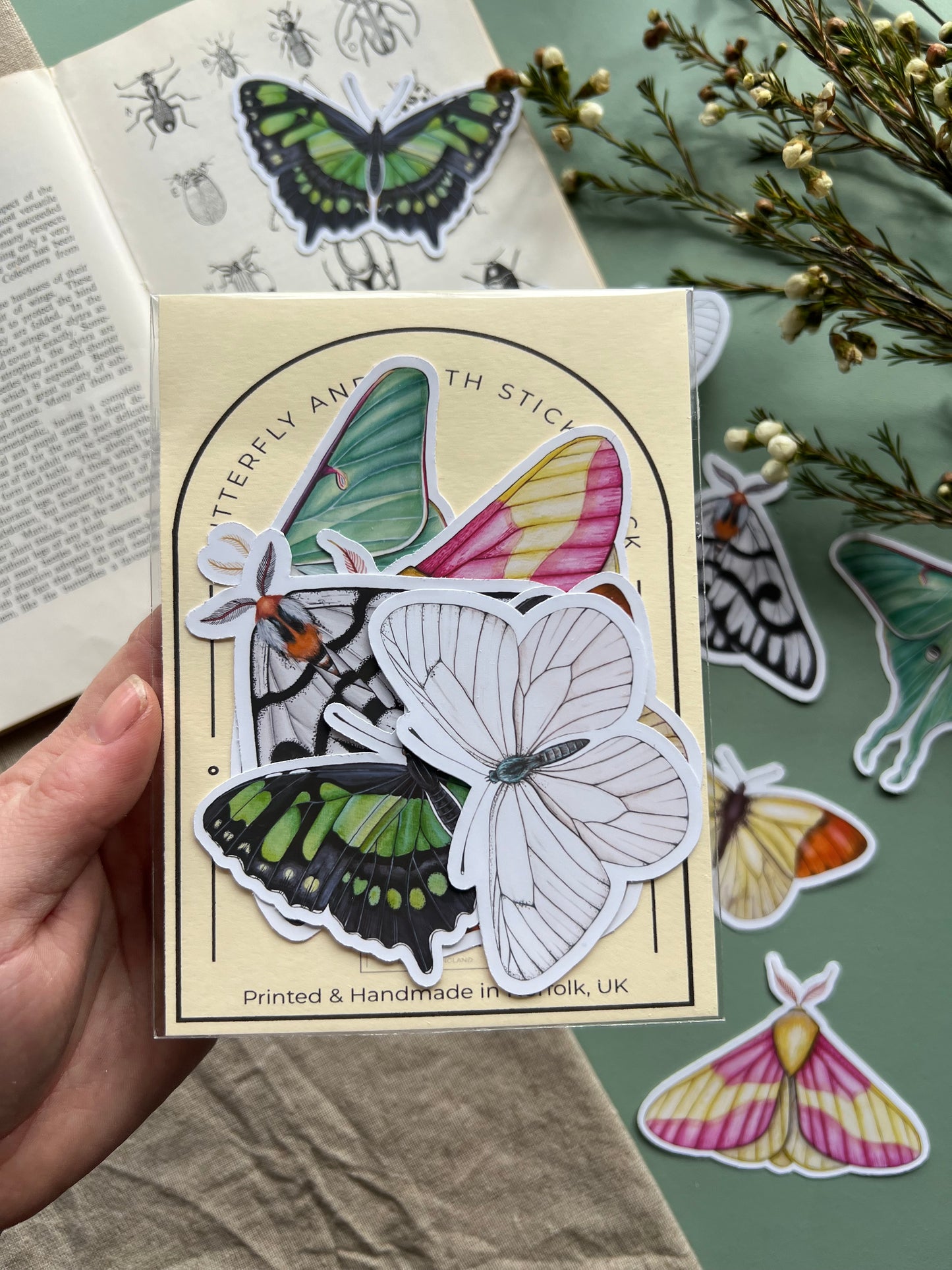 Butterfly and Moth Sticker Set