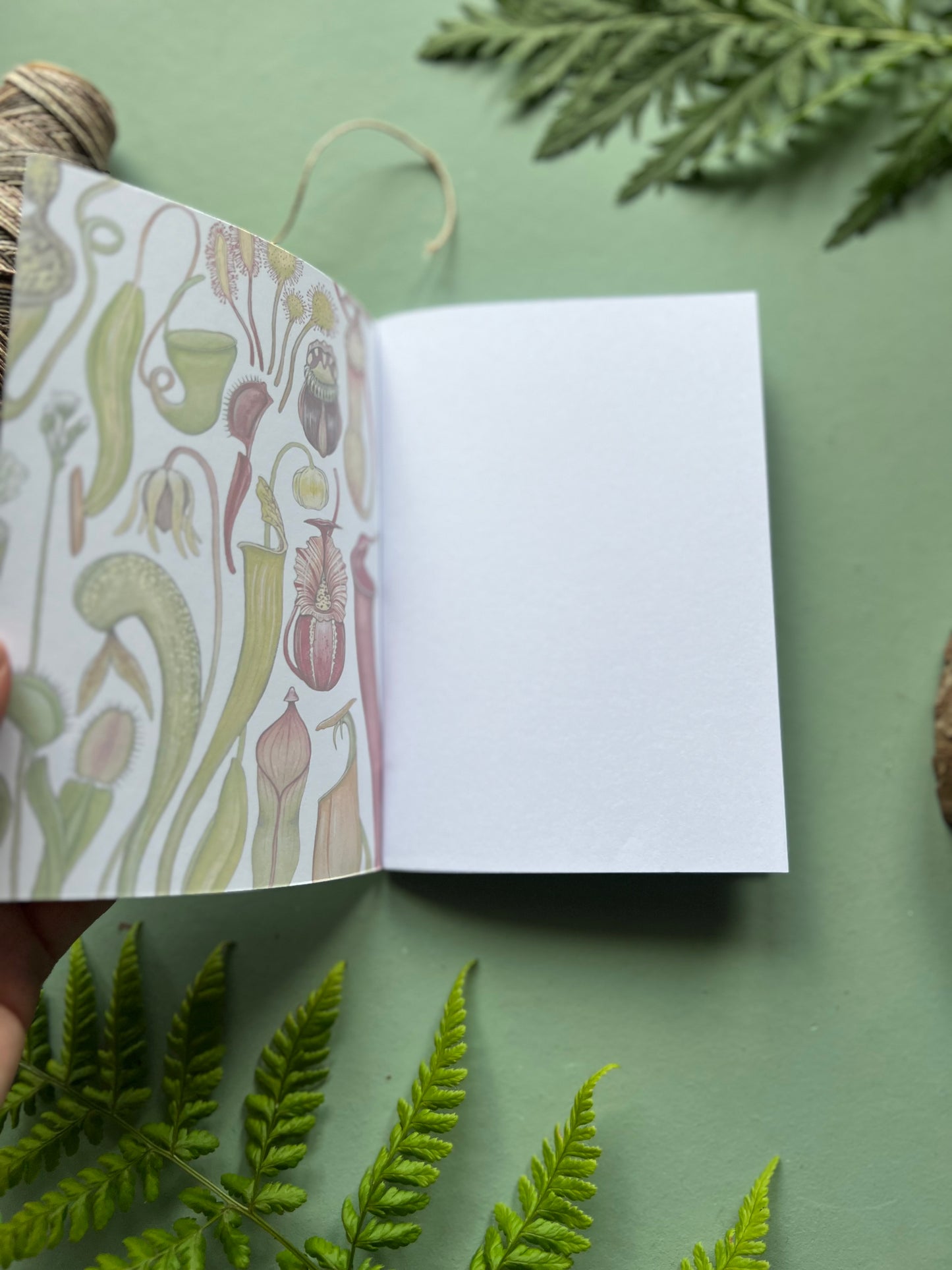 Carnivorous Plants Pocket Notebook