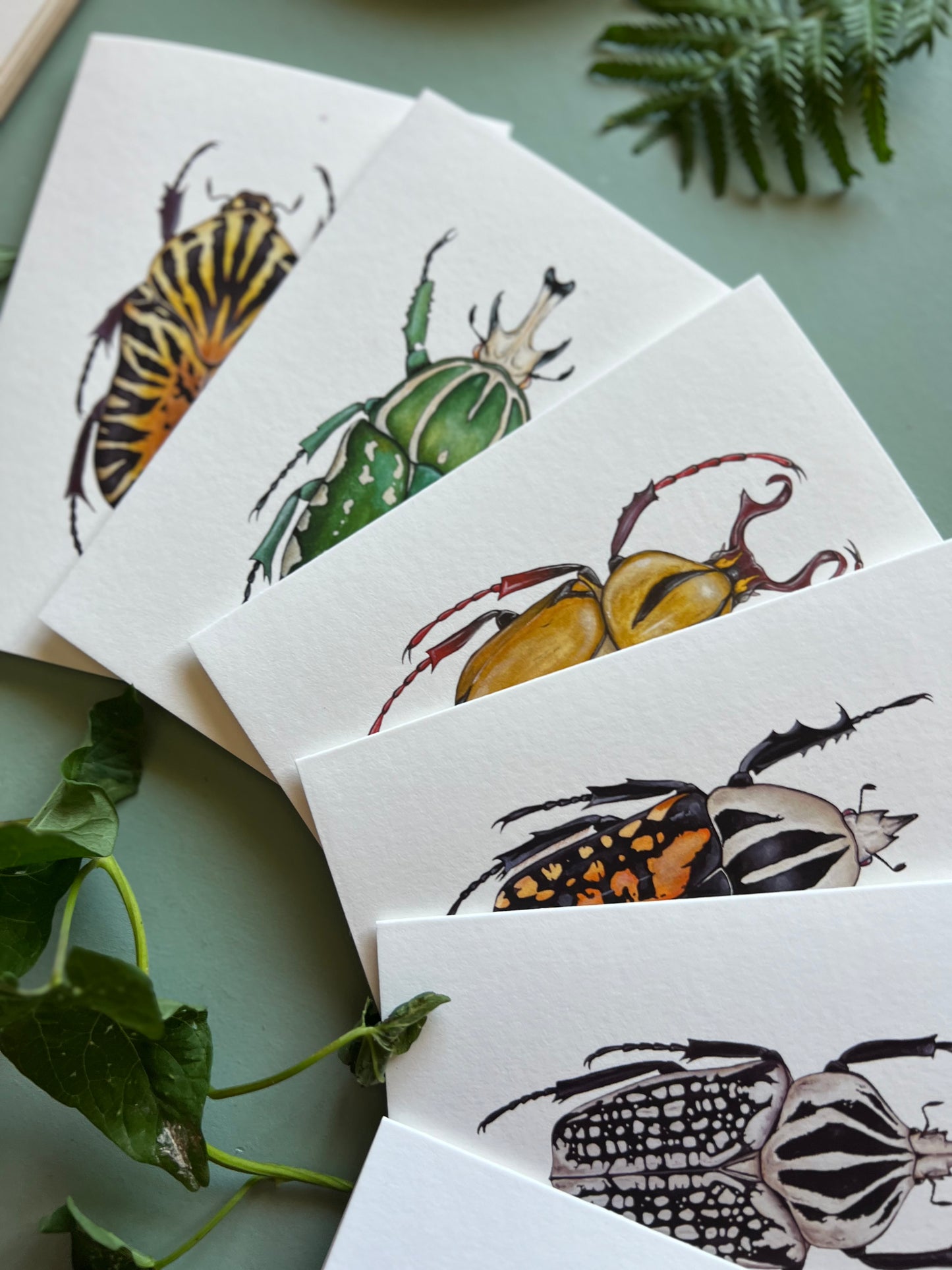 Beetles Set