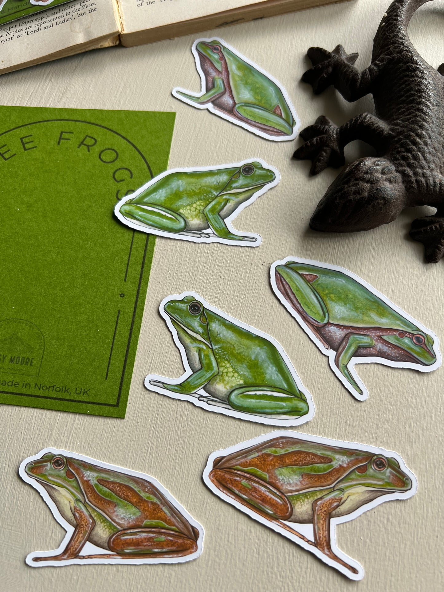 Tree Frog Sticker Set