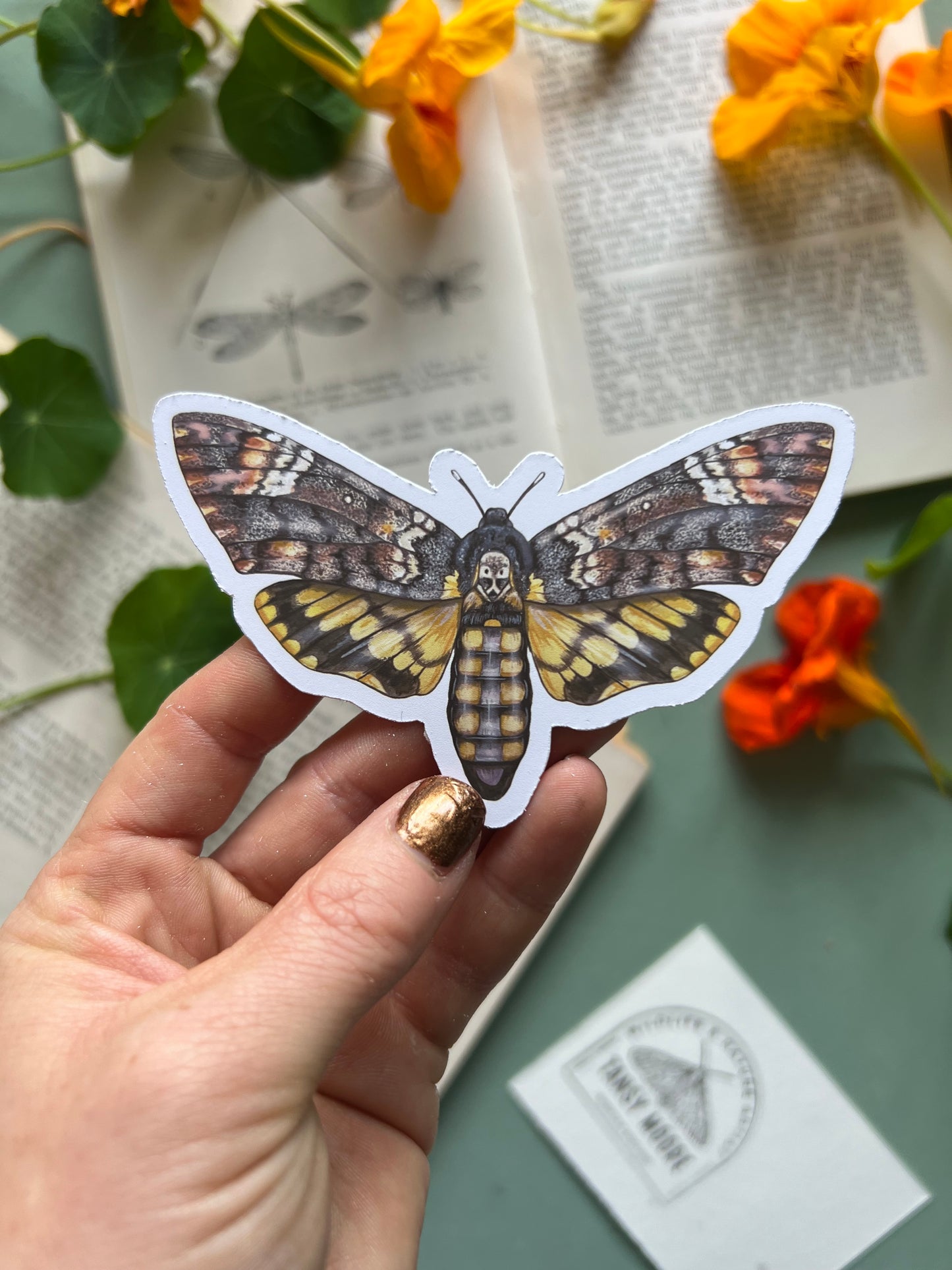 Deaths-head Hawkmoth Sticker