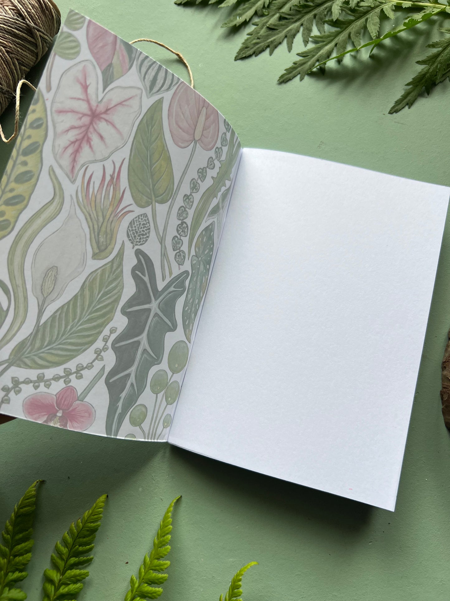House Plant Pocket Notebook