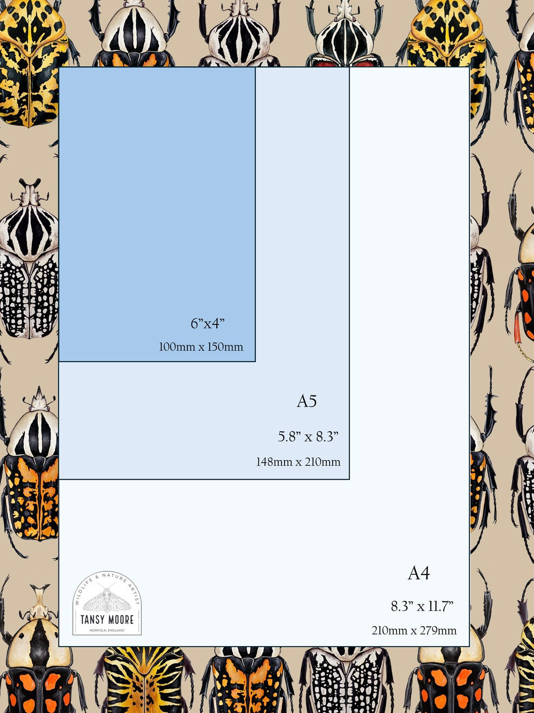 Butterfly and Moth Print