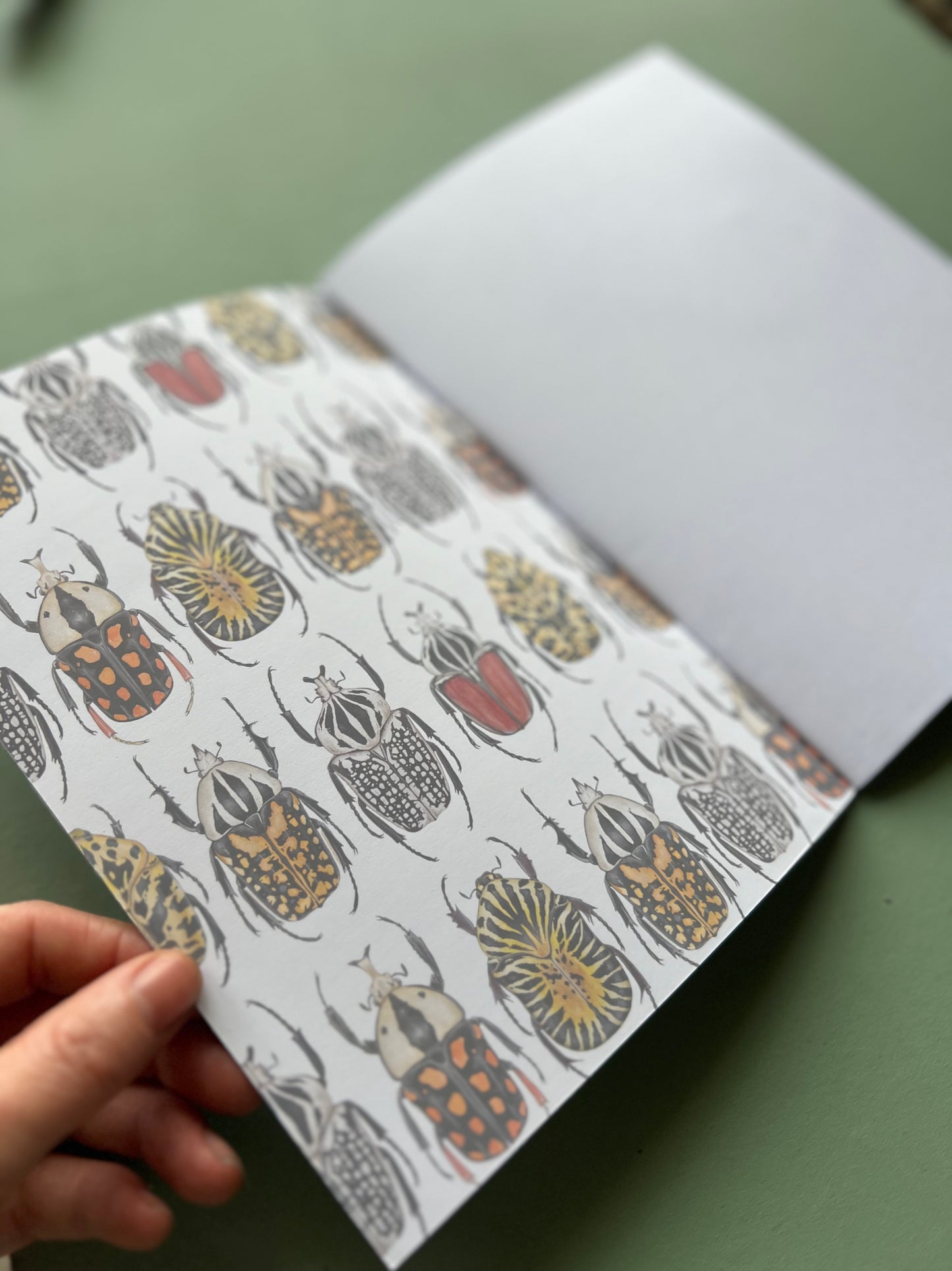 Beetle Notebook