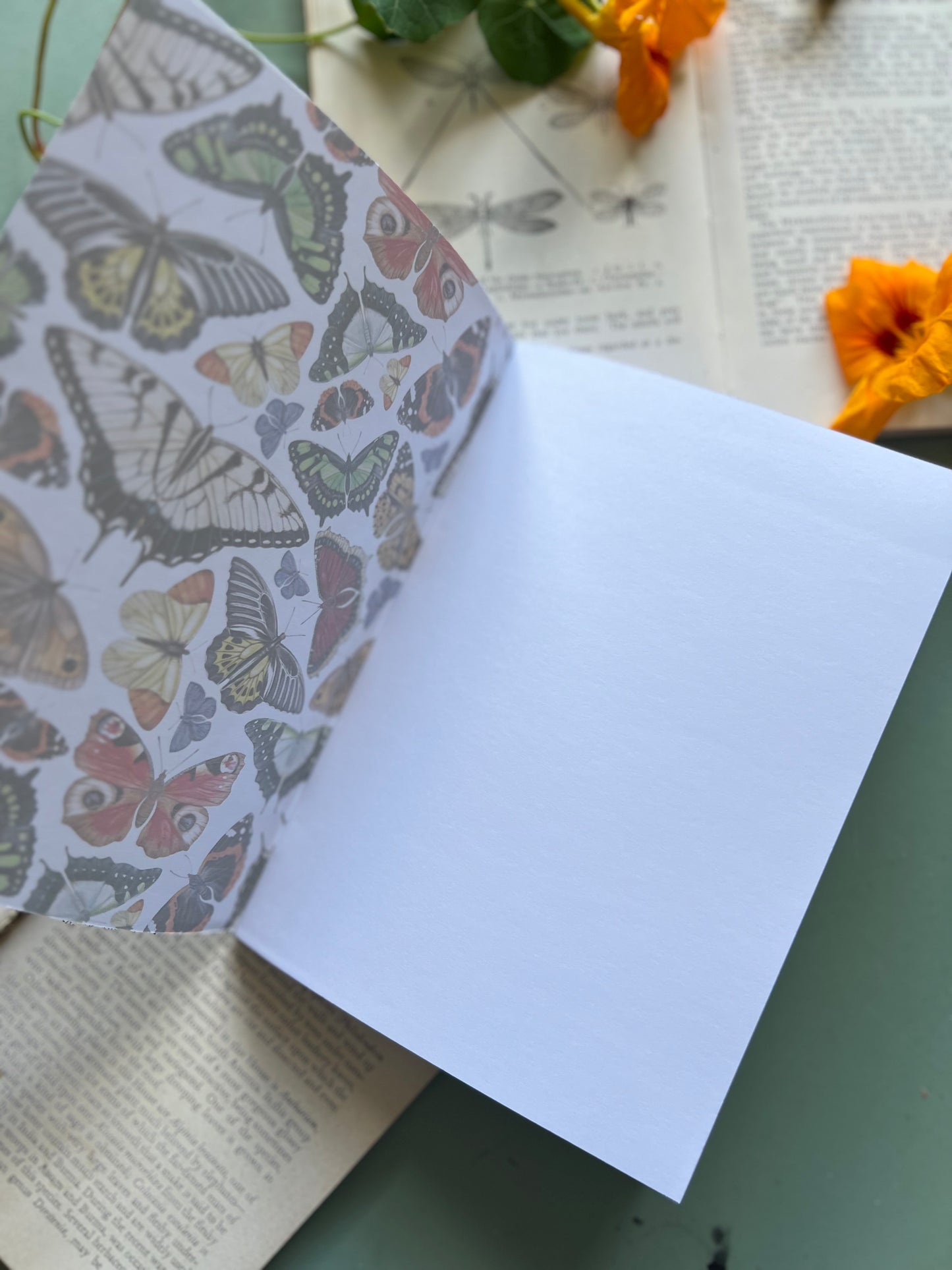 Butterfly Notebook