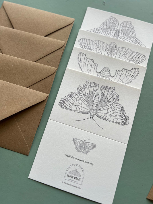 Butterfly and Moth Colouring in Card Set