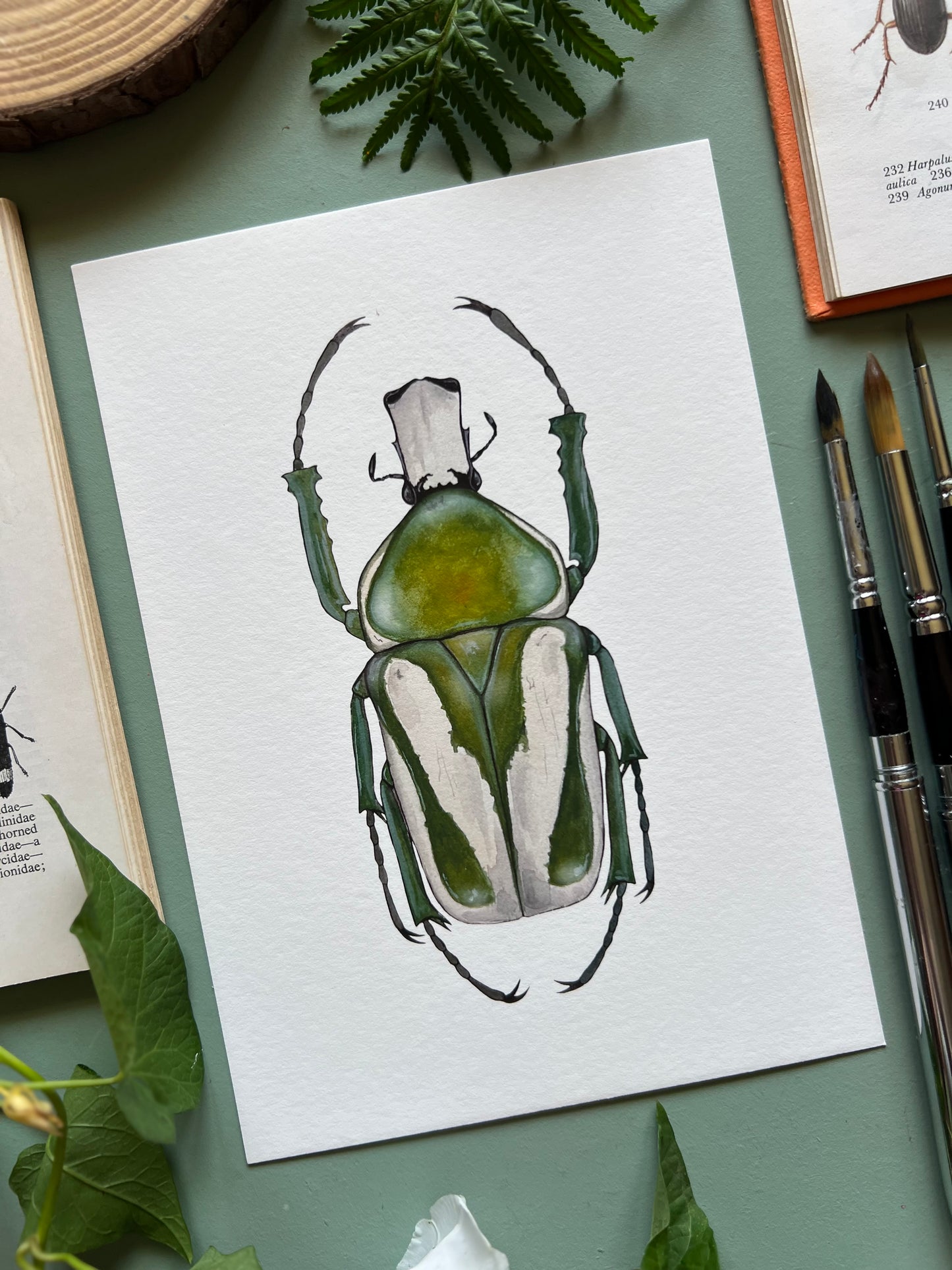 Regal Fruit Chafer Print