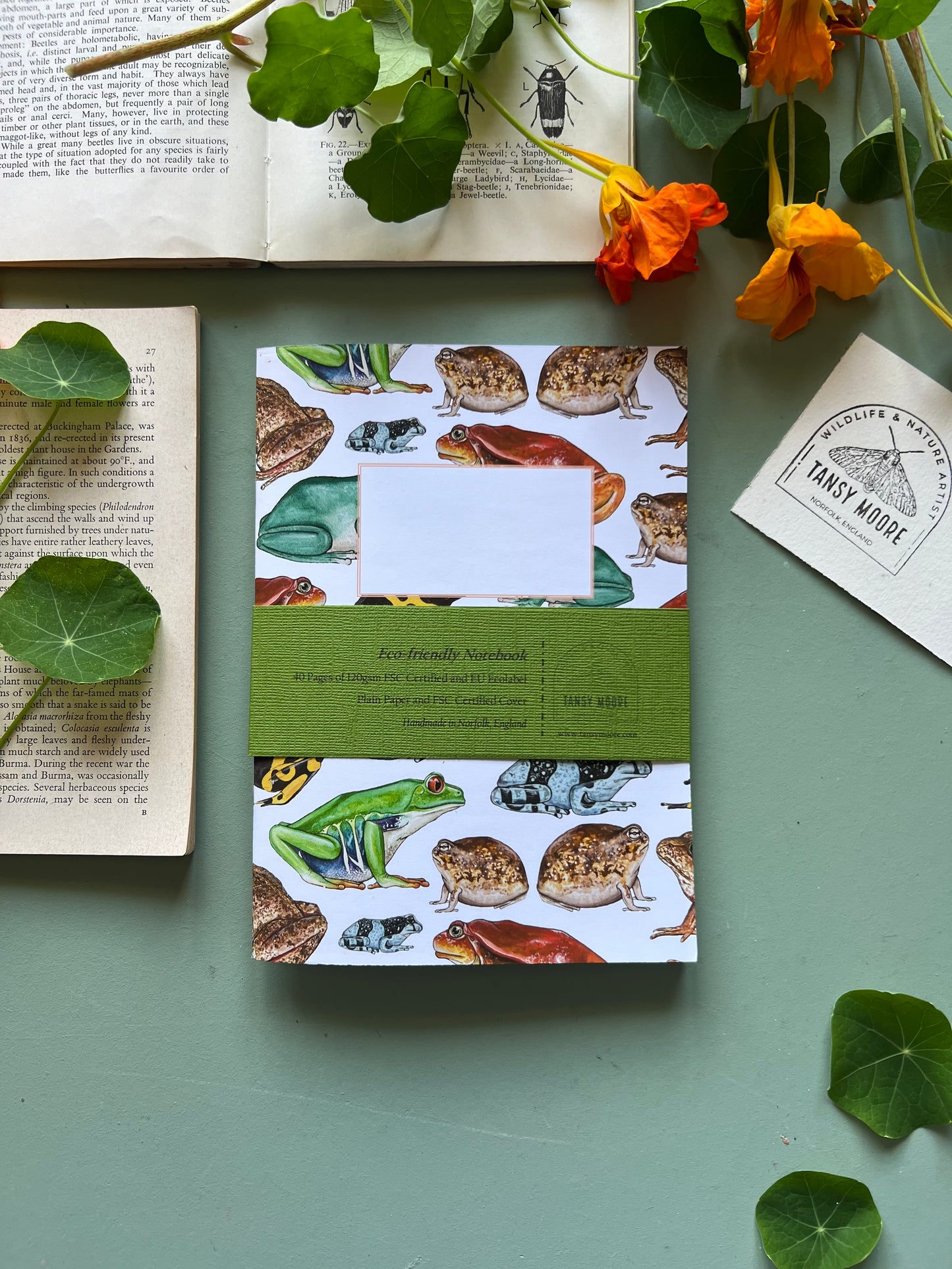 Frog Notebook
