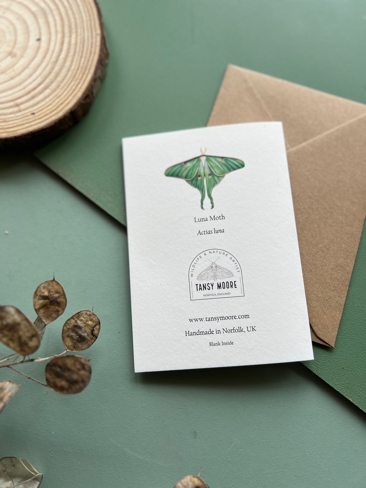 Luna Moth Card