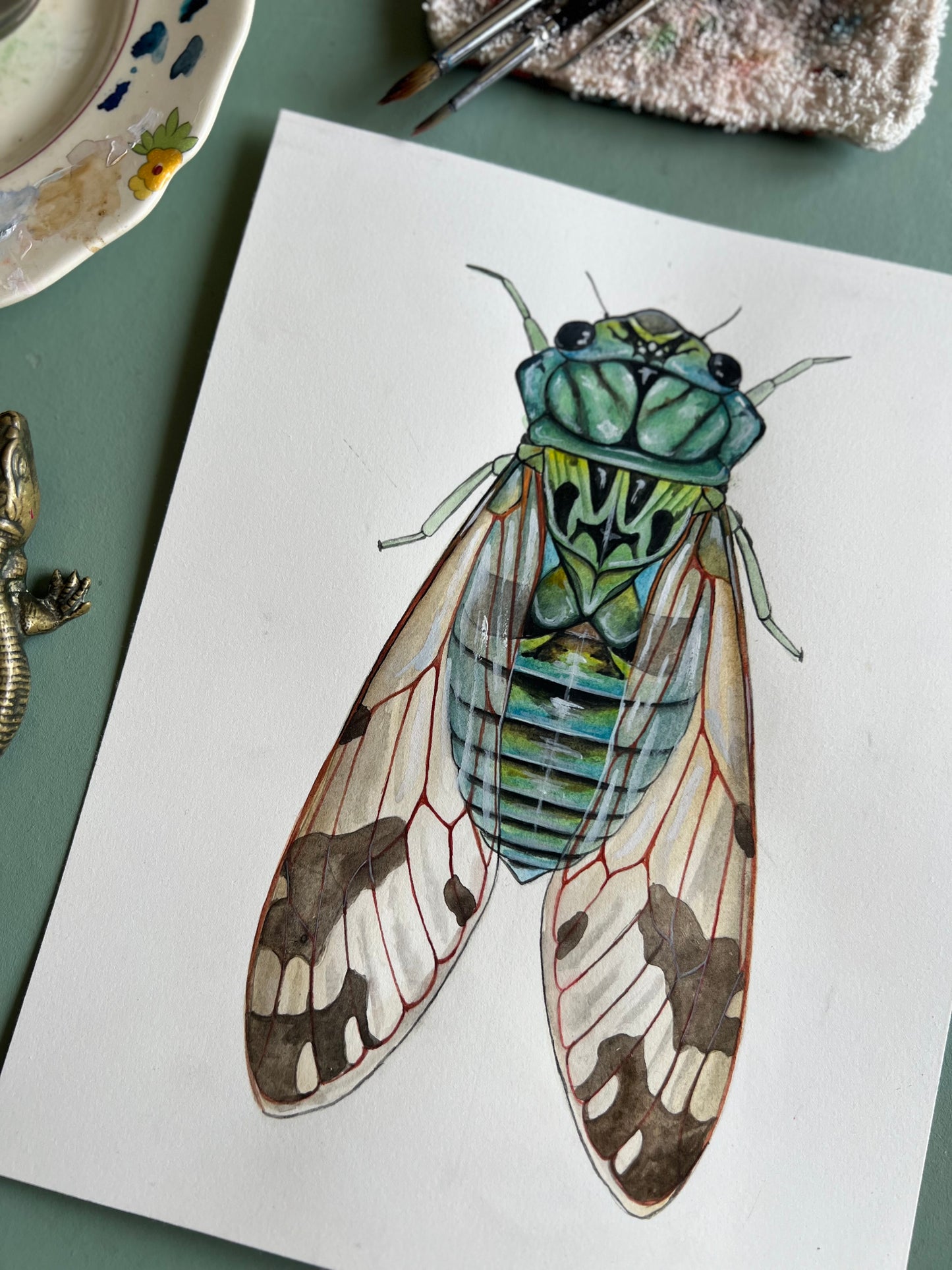 Cicada Original 8”x10”