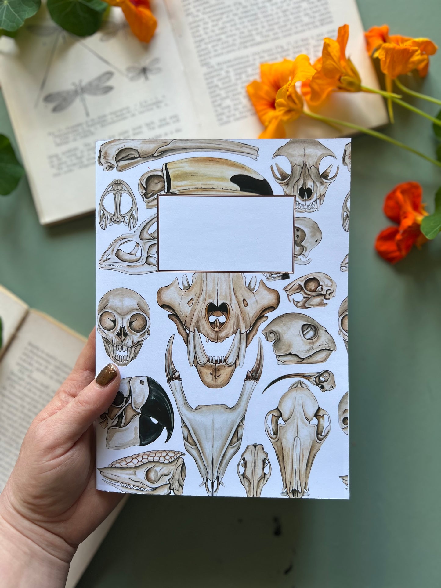 Skulls Notebook