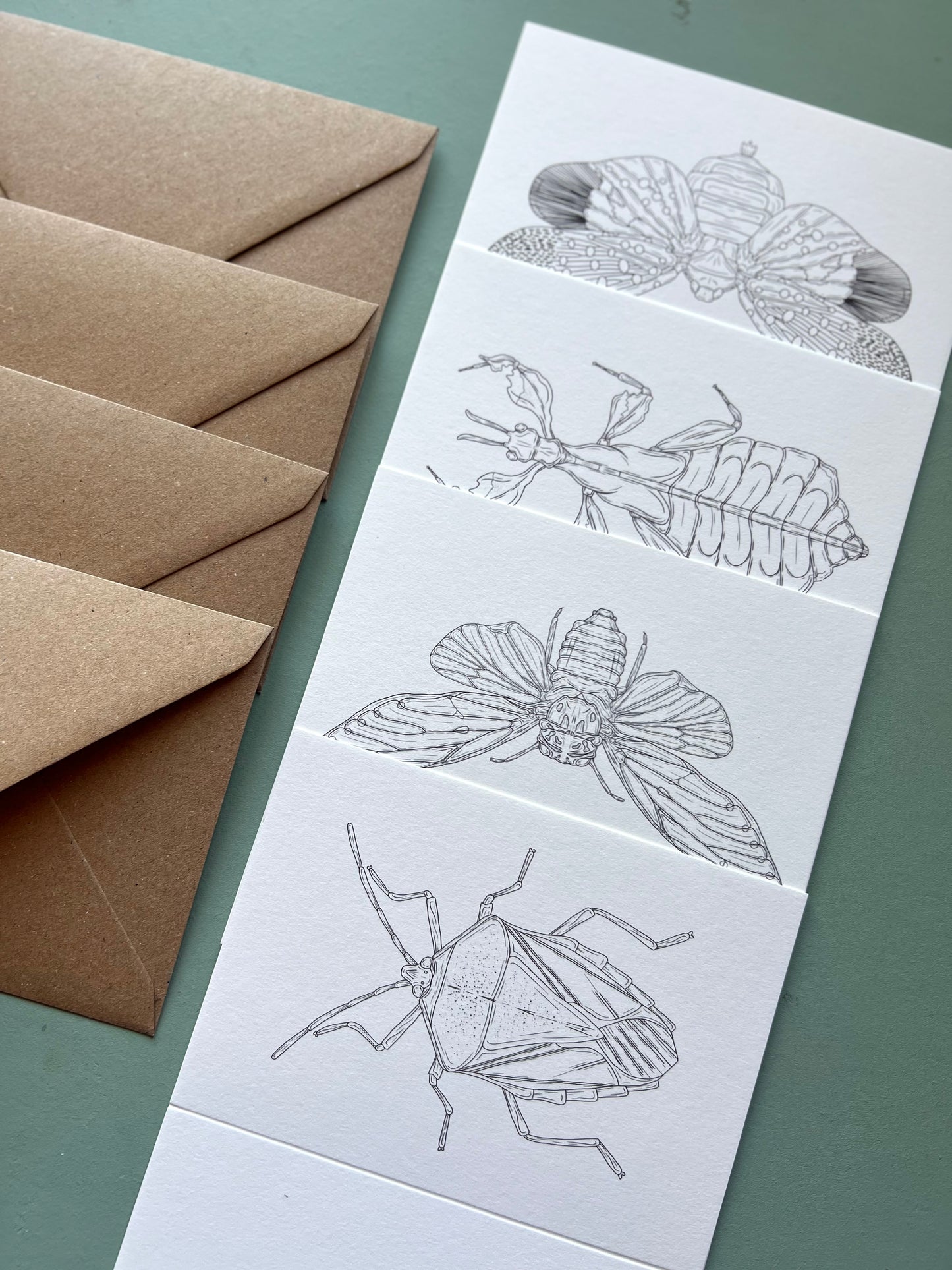 Insects Colouring in Card Set