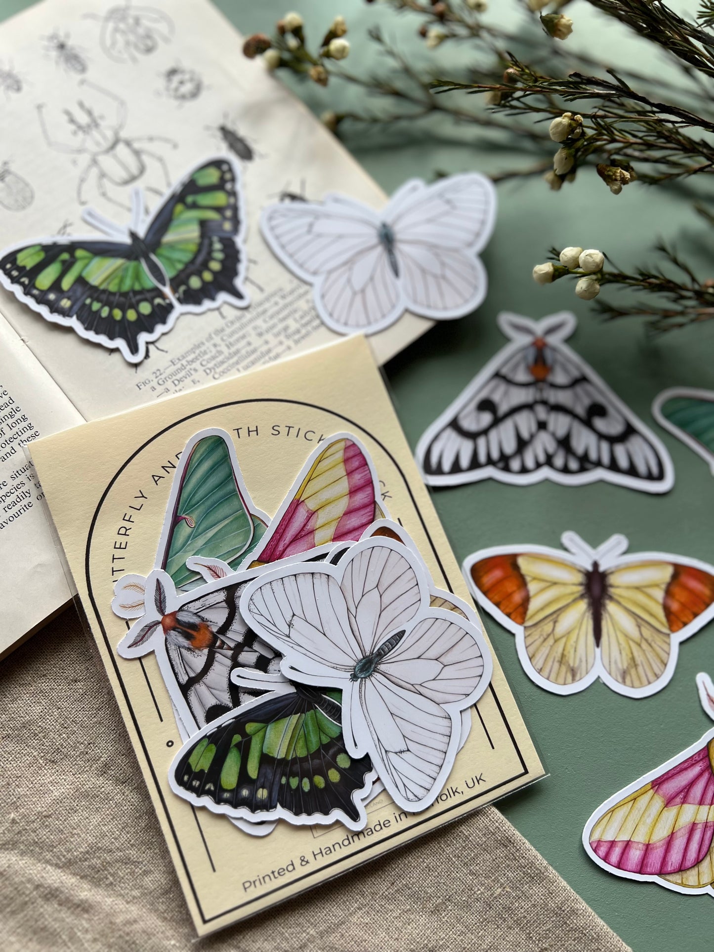 Butterfly and Moth Sticker Set