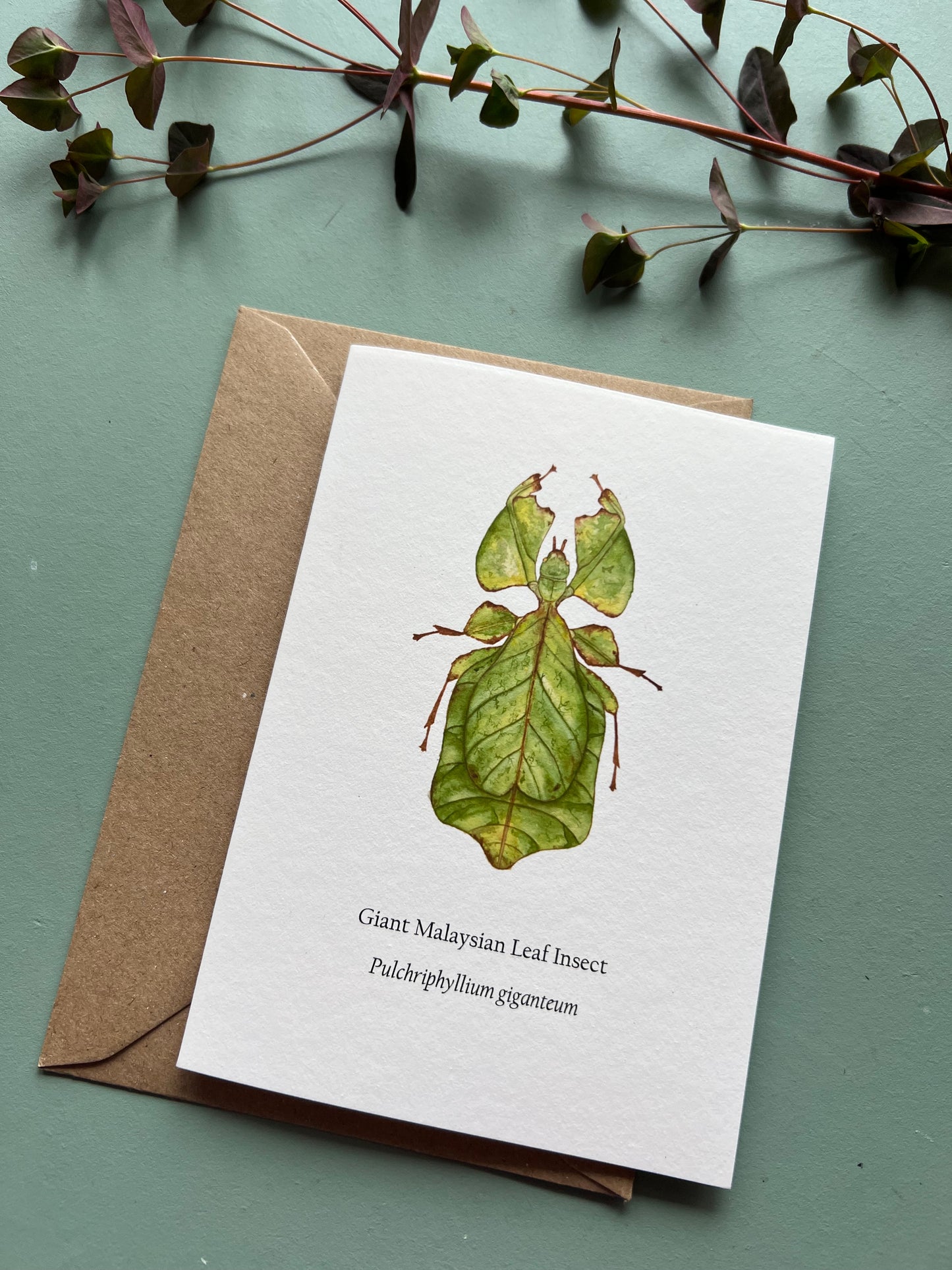 Leaf Insect Card
