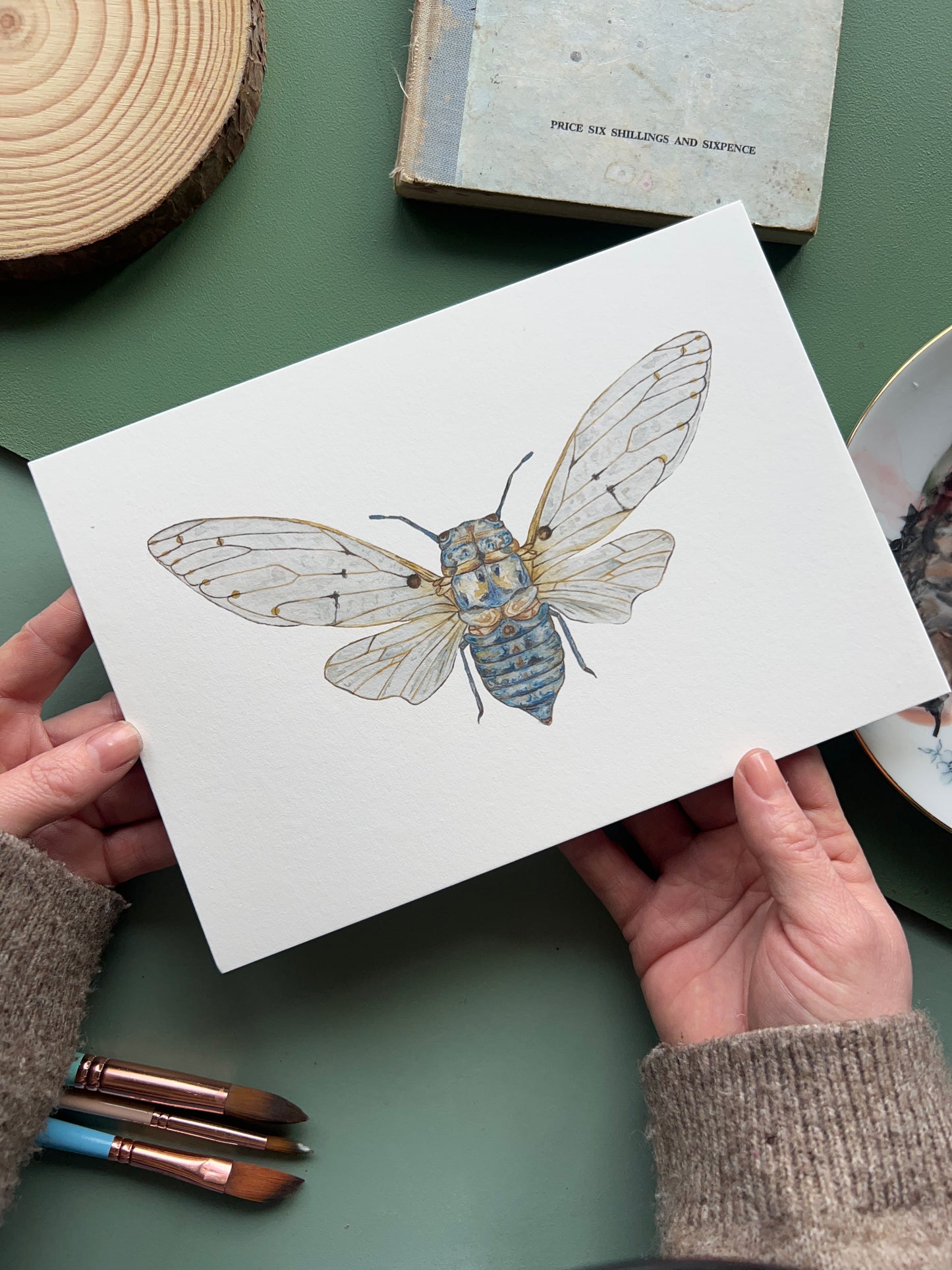 Ghost Cicada