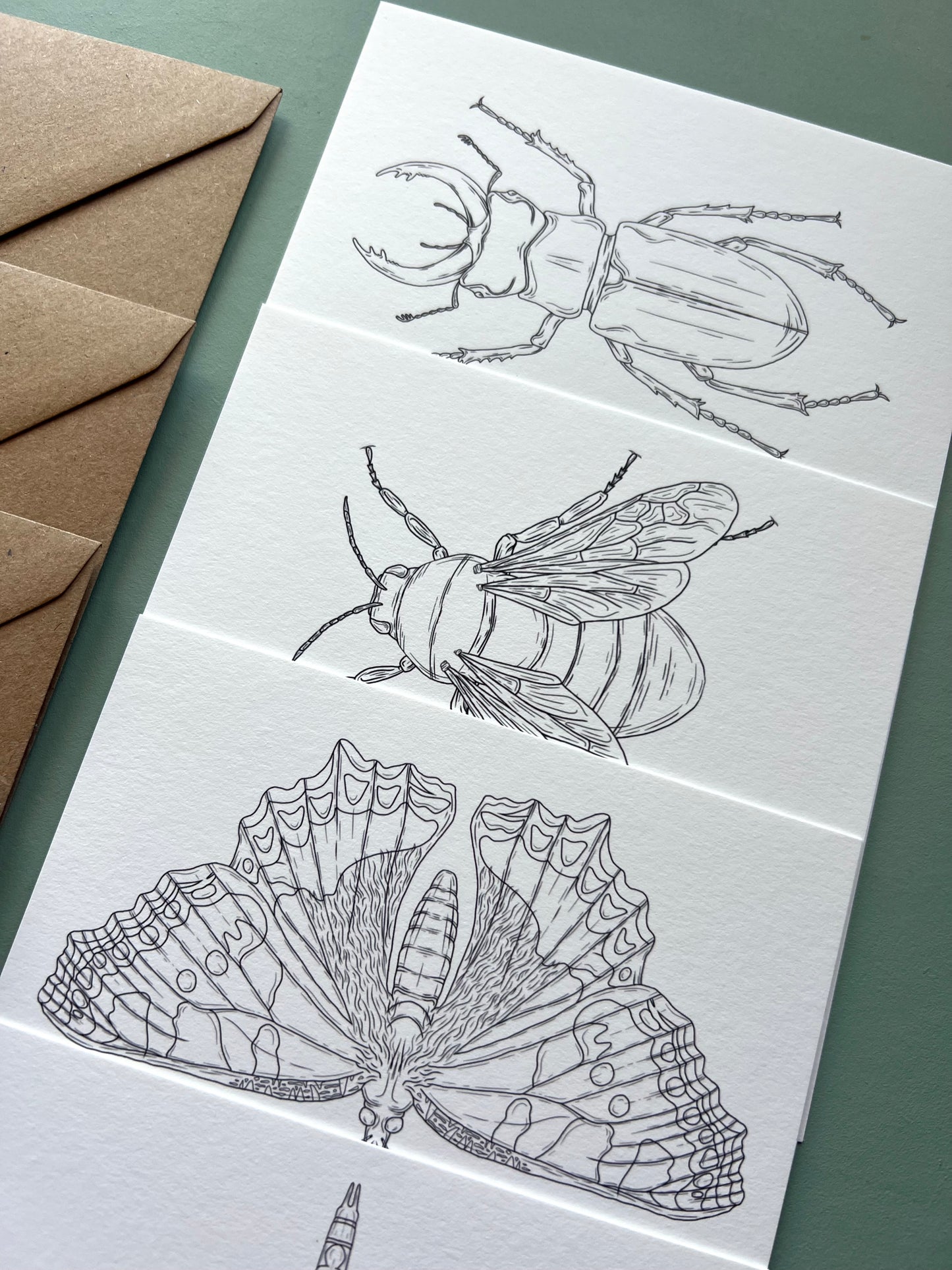 British Insects Colouring in Card Set