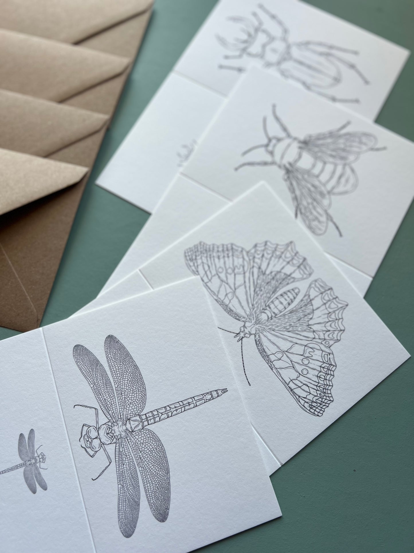 British Insects Colouring in Card Set
