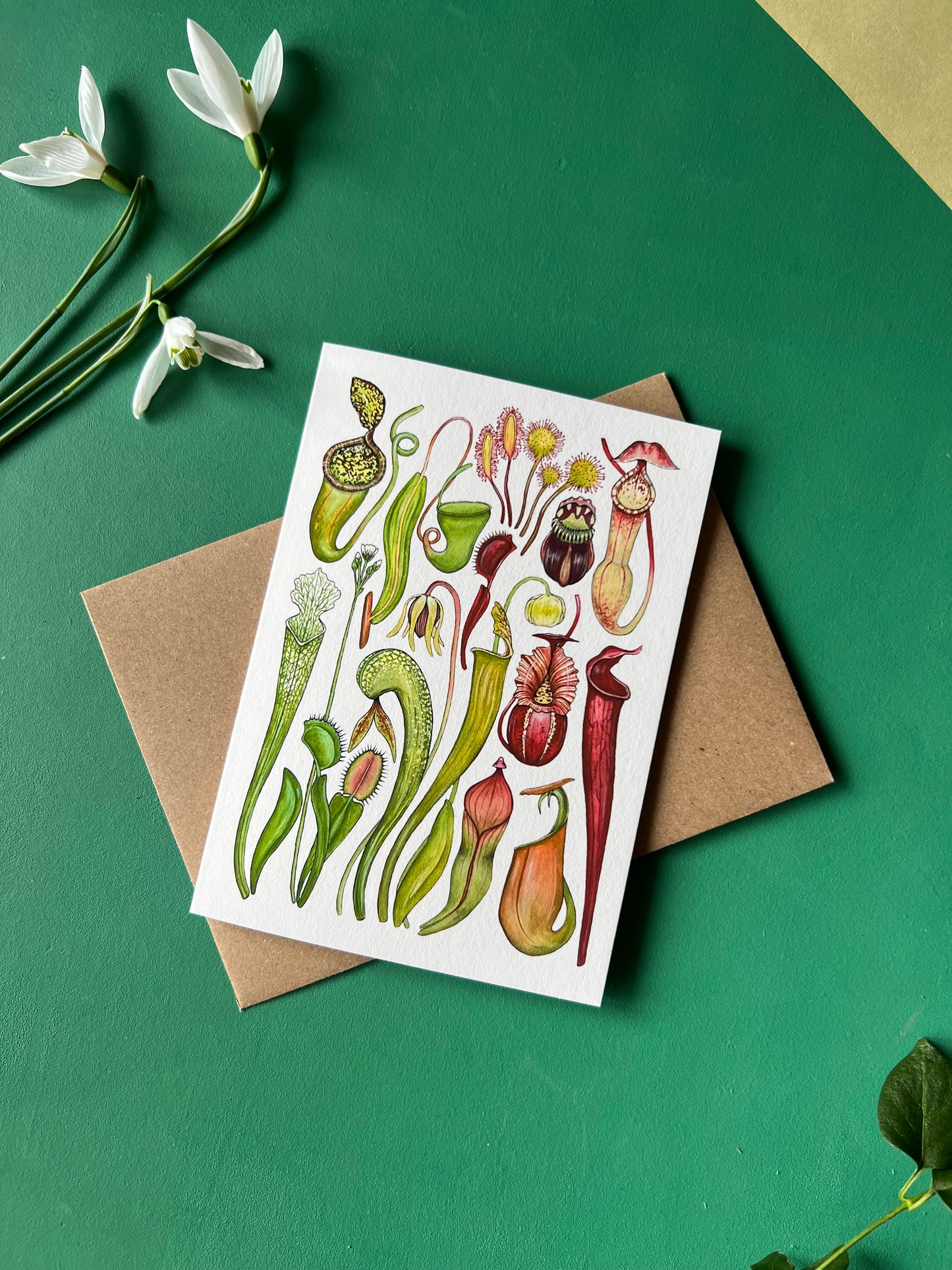 Carnivorous Plants Card