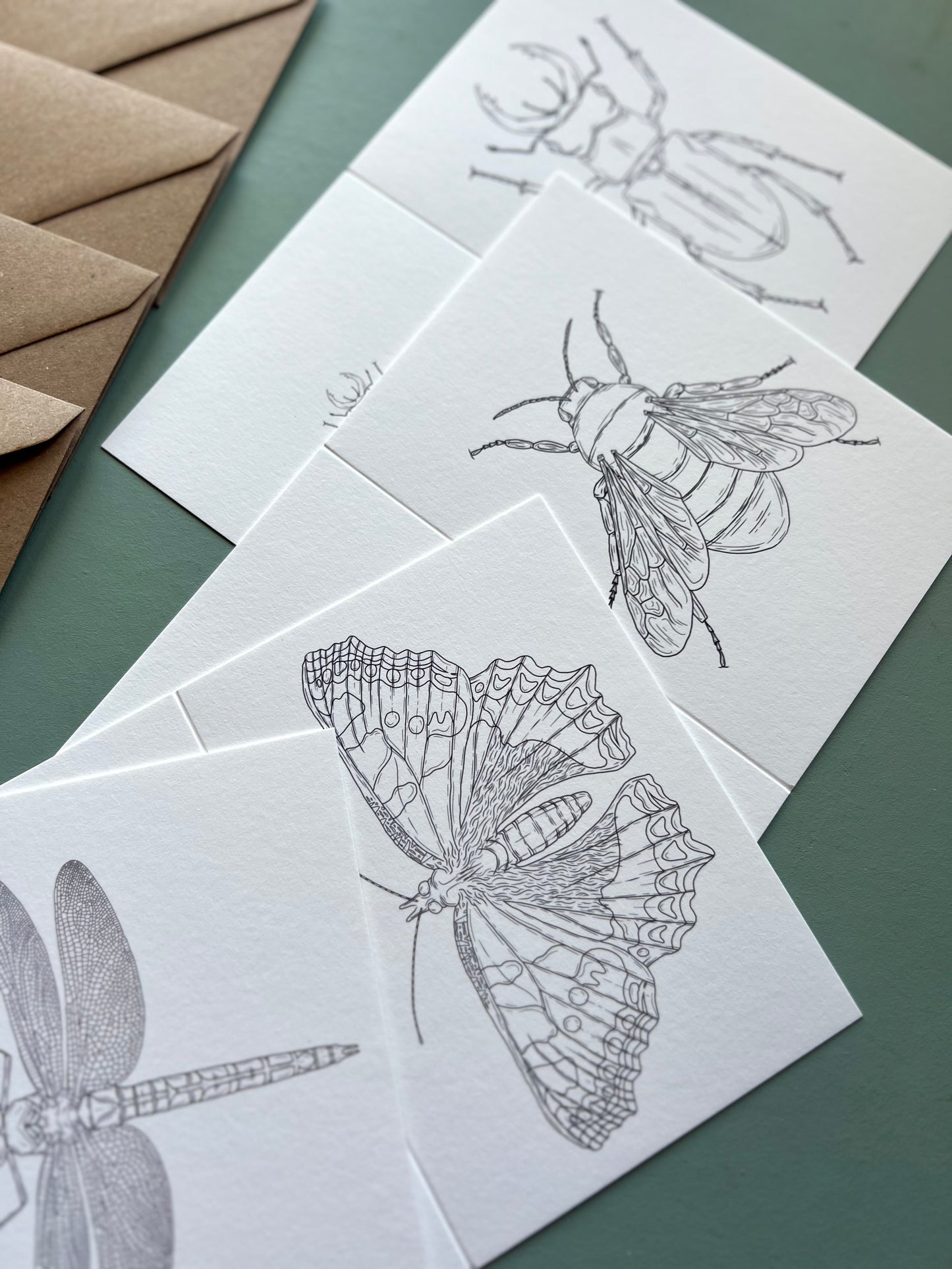 British Insects Colouring in Card Set