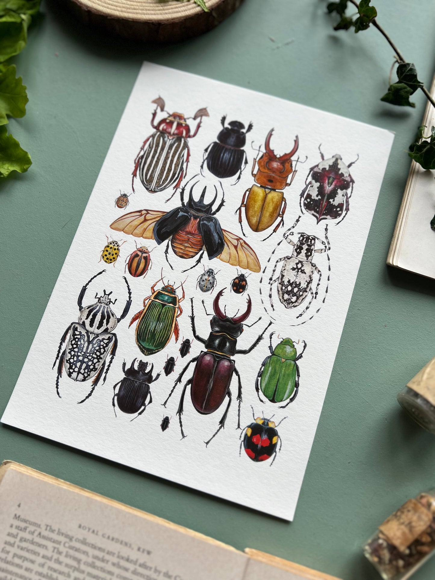 Beetles Print