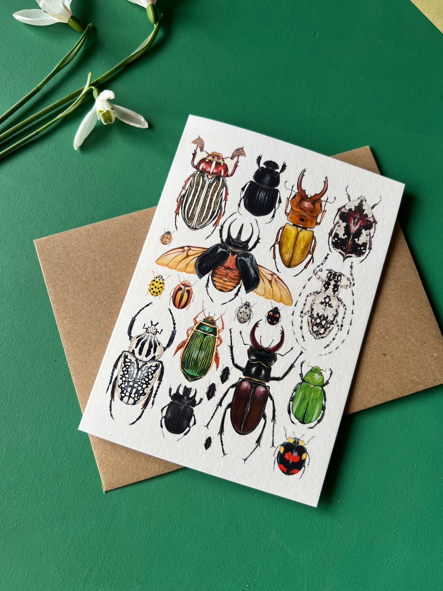 Beetles Card