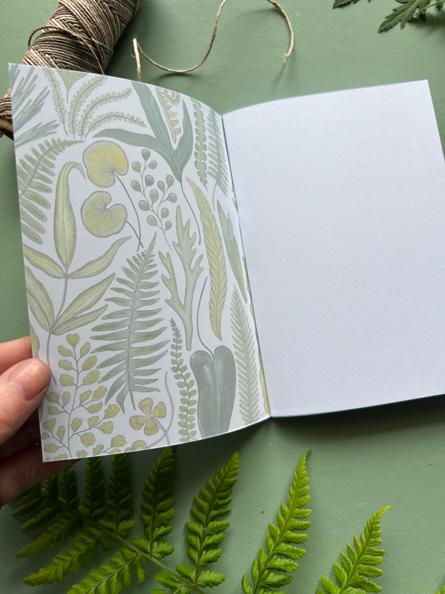 Ferns Pocket Notebook