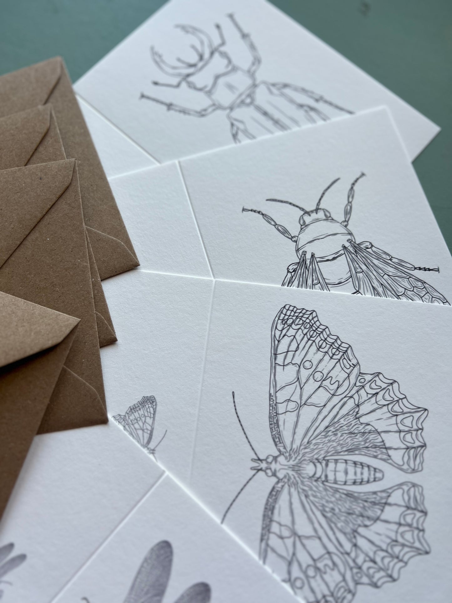 British Insects Colouring in Card Set