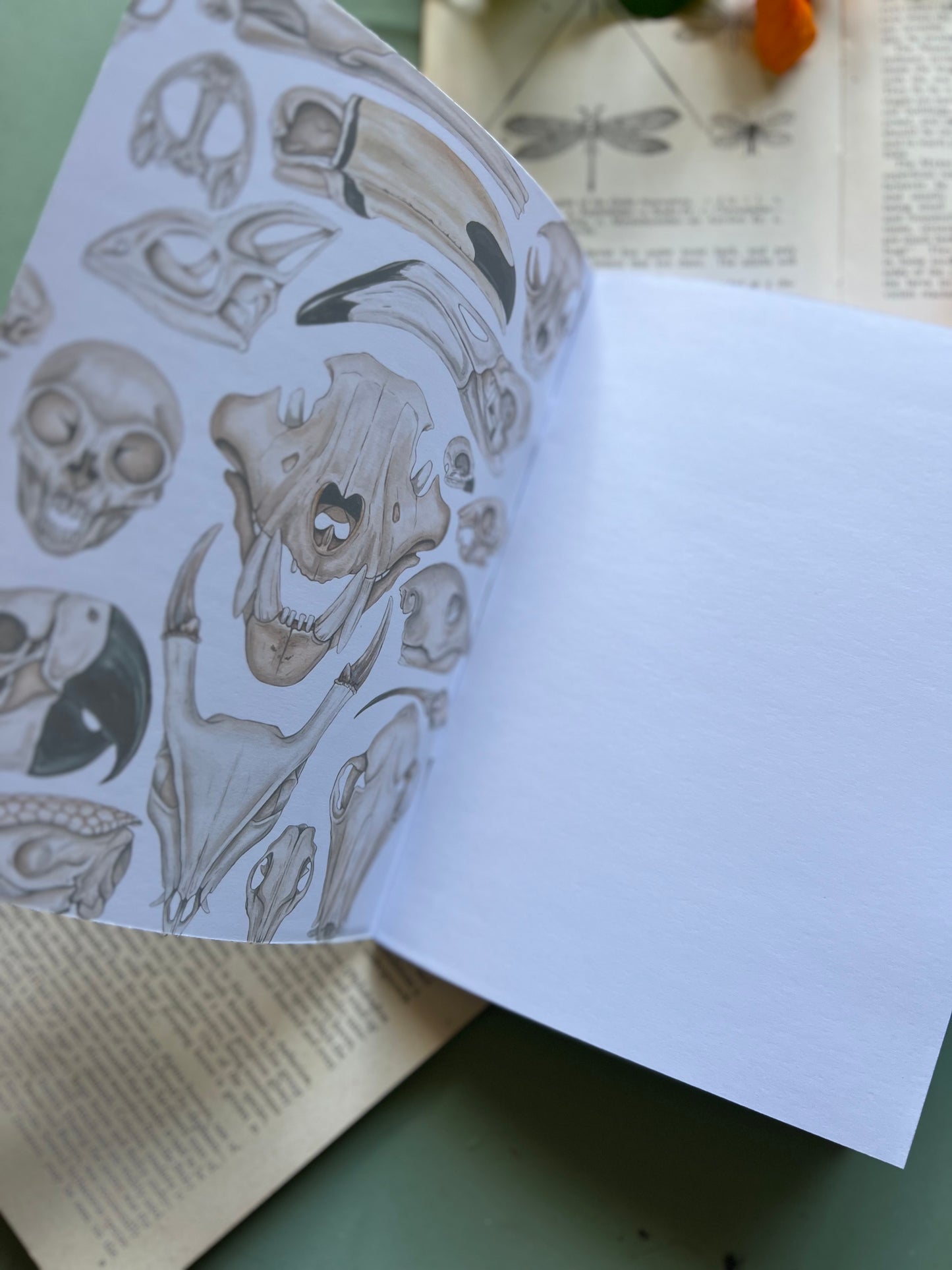 Skulls Notebook