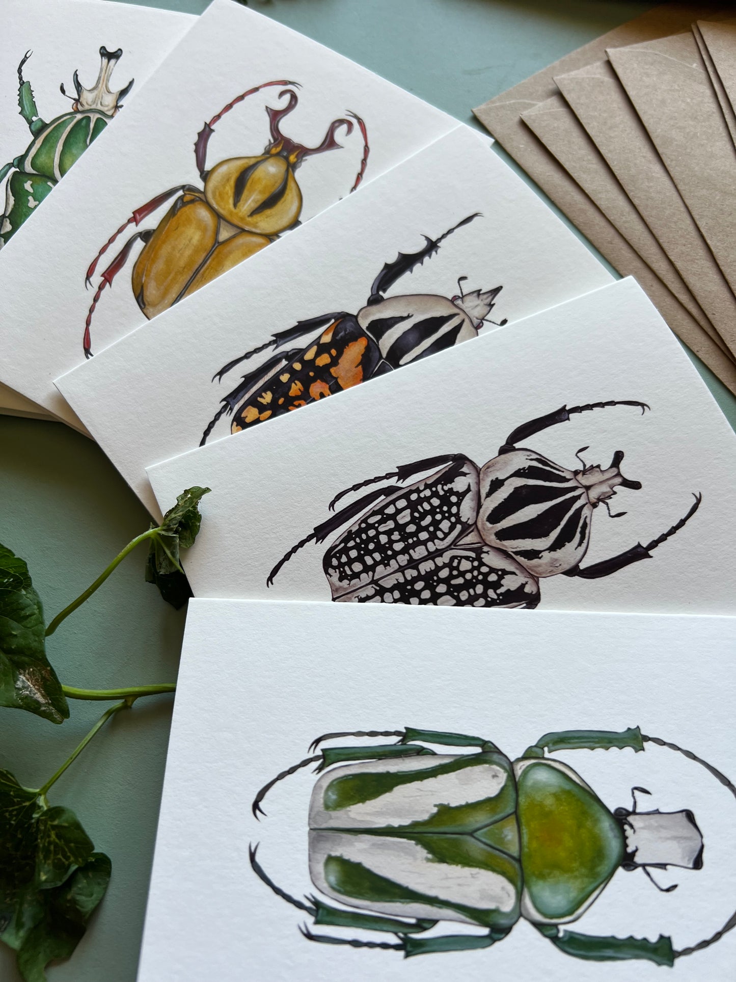 Beetles Set