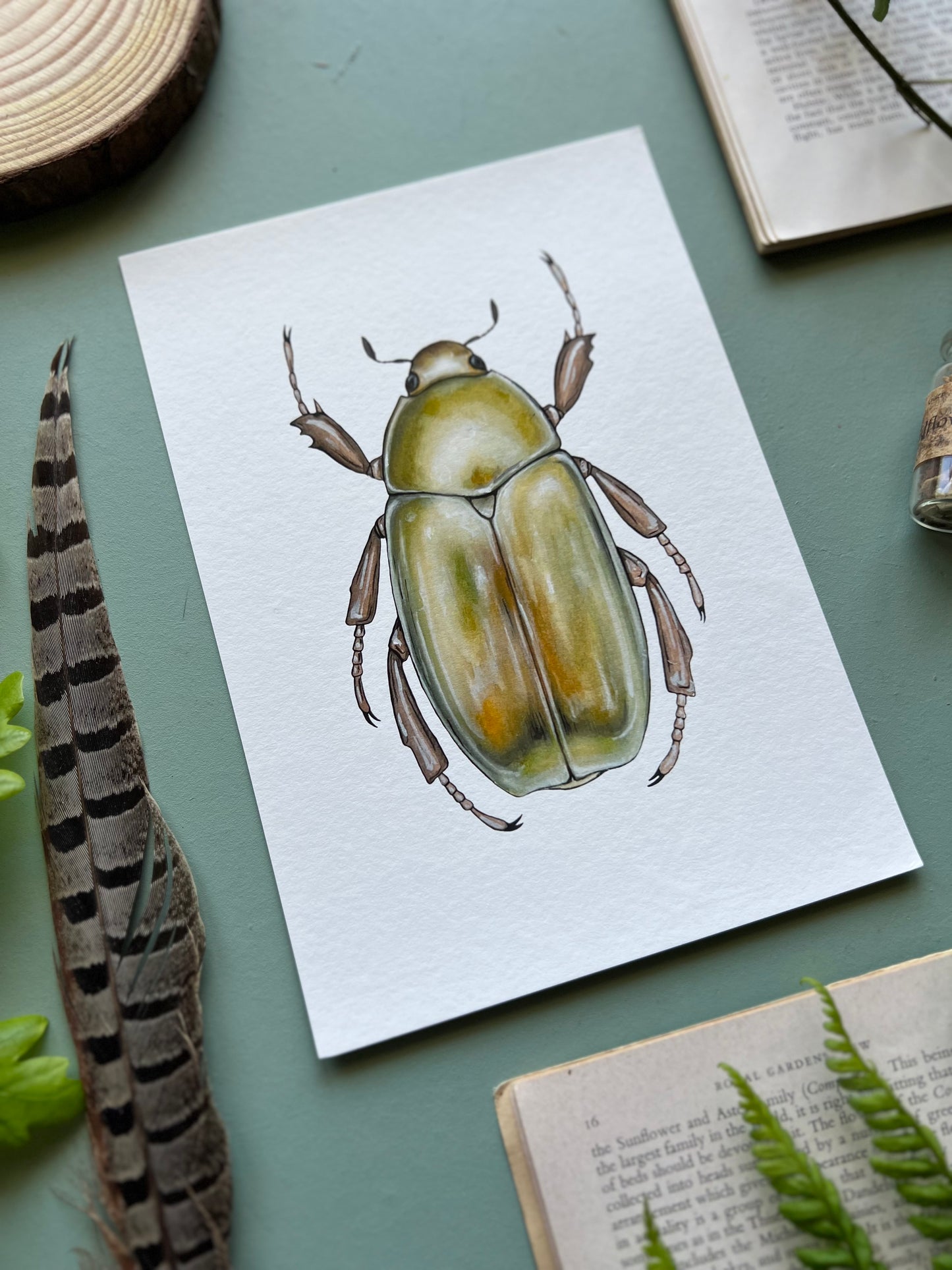 Golden Jewel Scarab // Chrysina resplendens