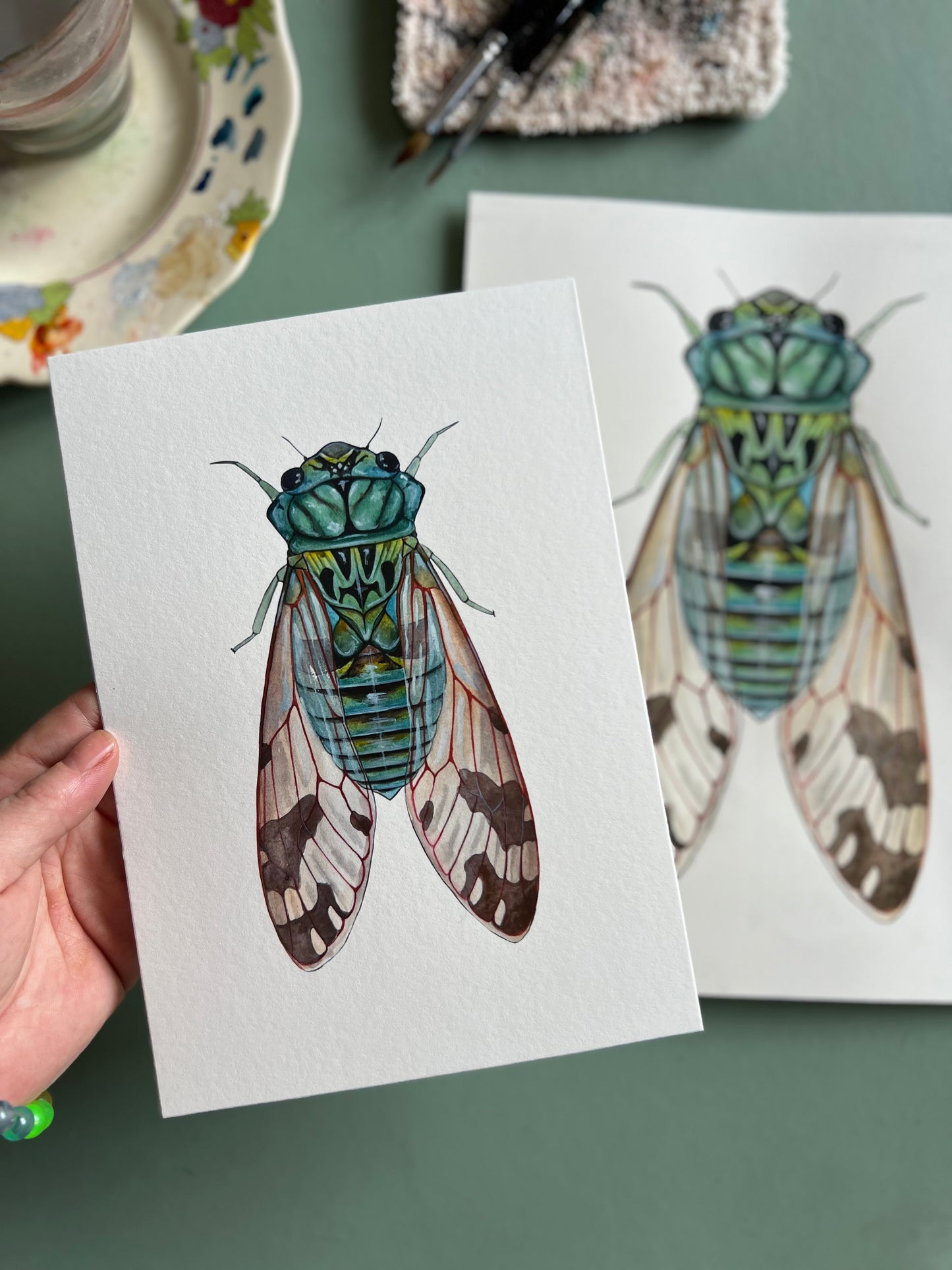 Emerald Cicada