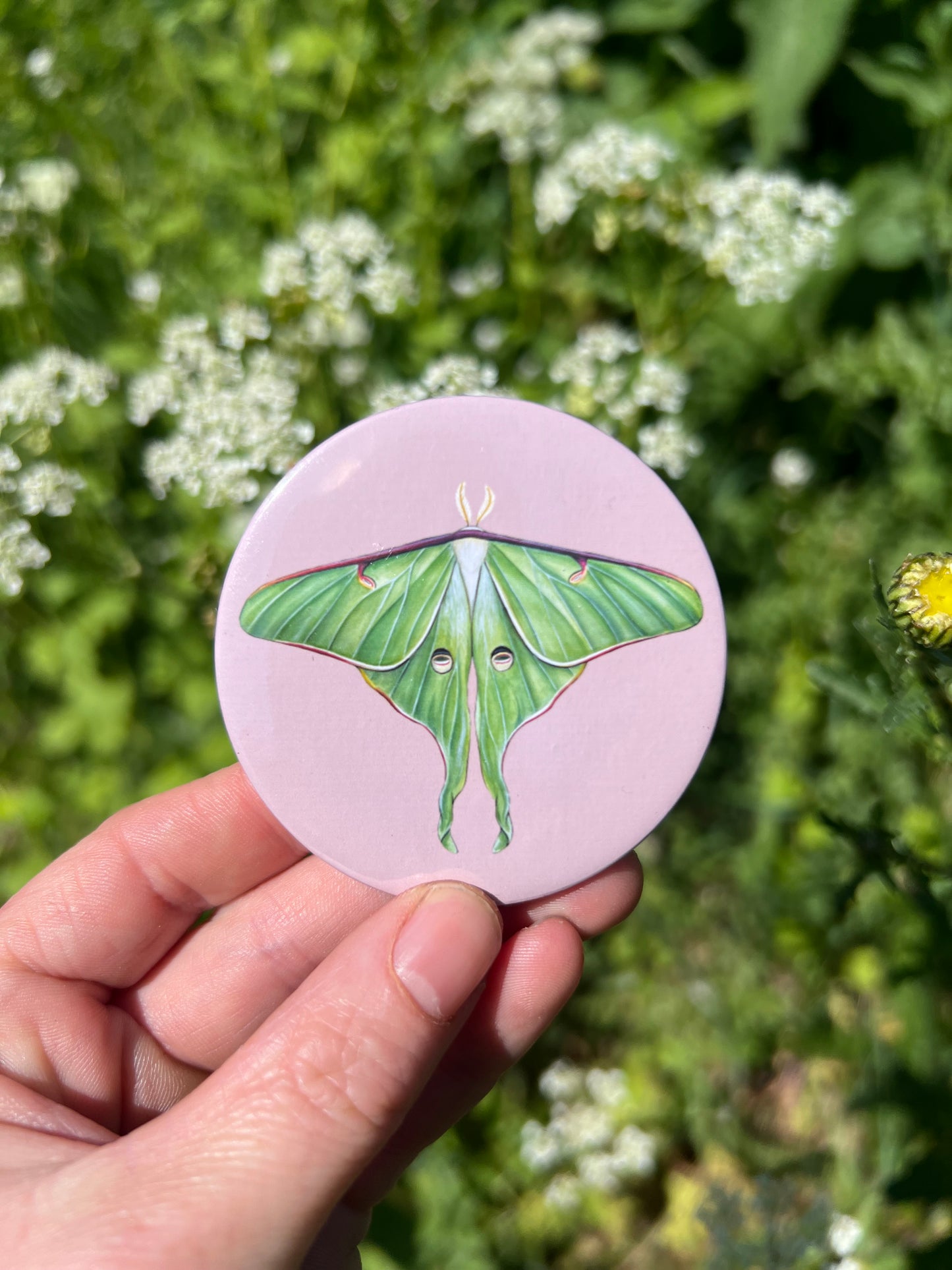 Luna Moth Pocket Mirror