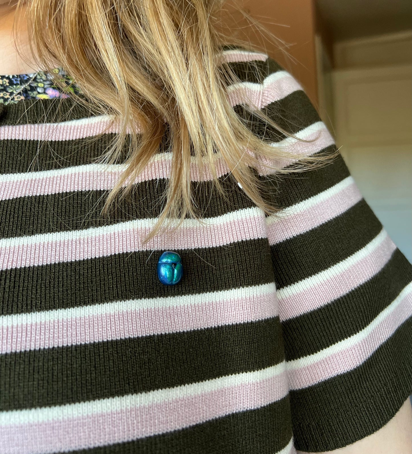 Spring Dor Beetle Pin Badge