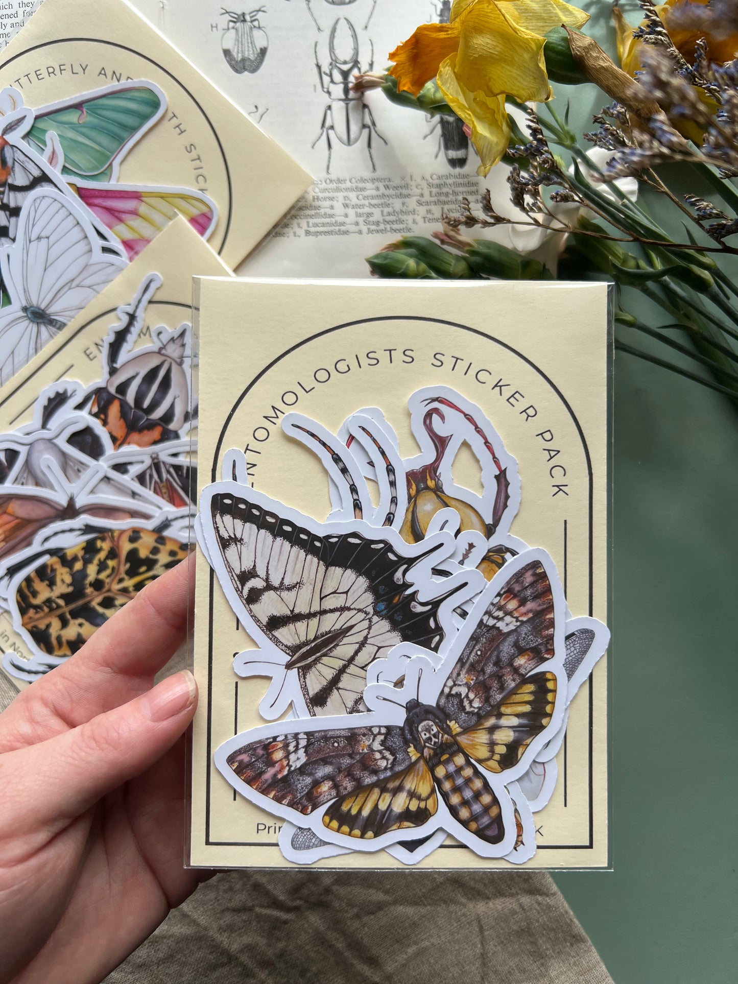 Insect Sticker Sets