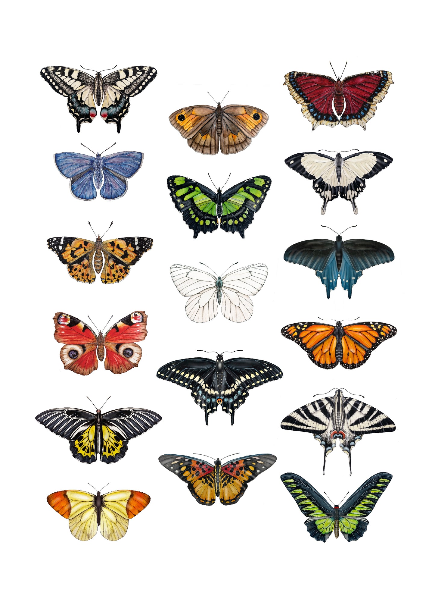 Butterflies 2