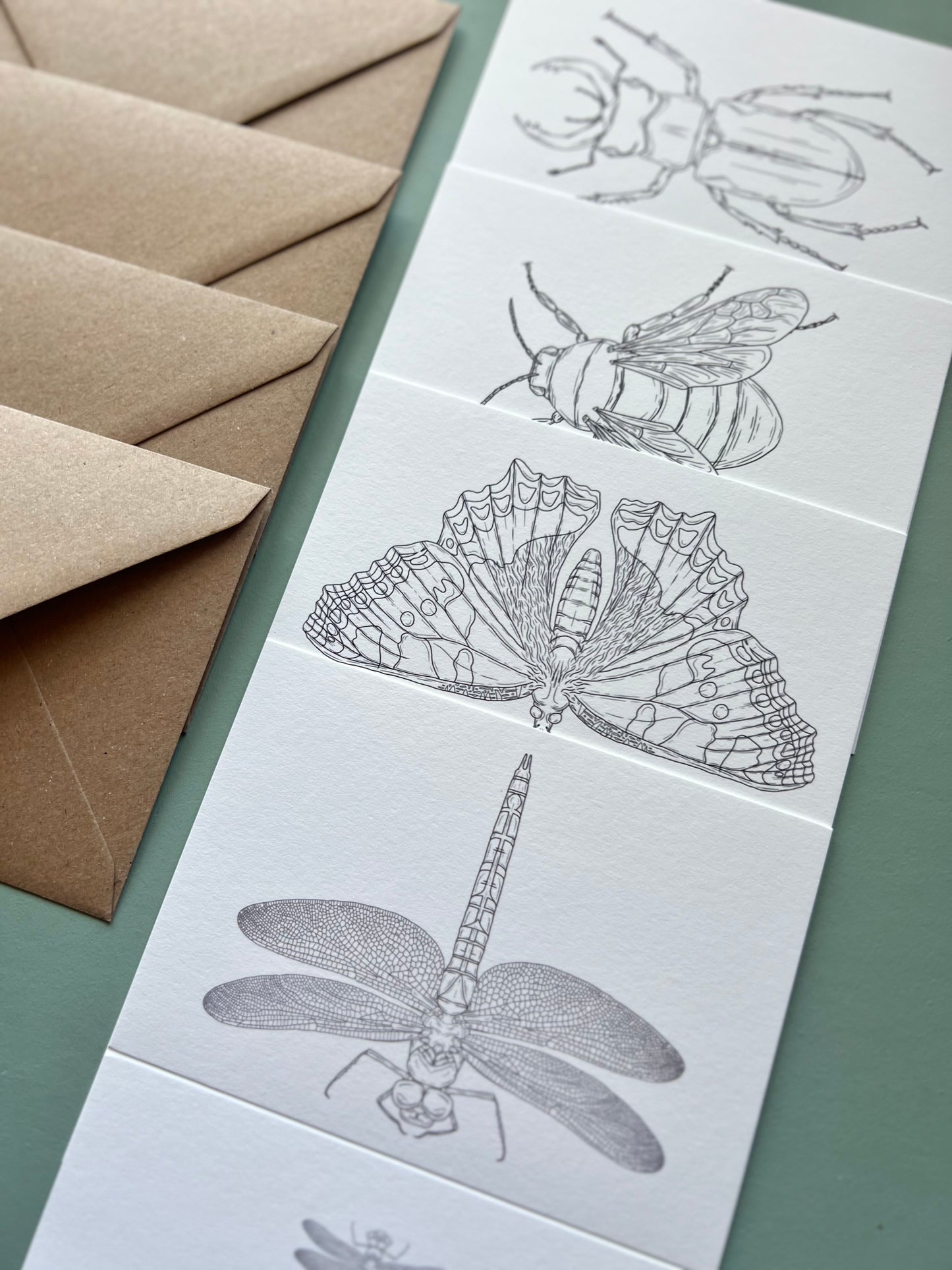 British Insects Colouring in Card Set