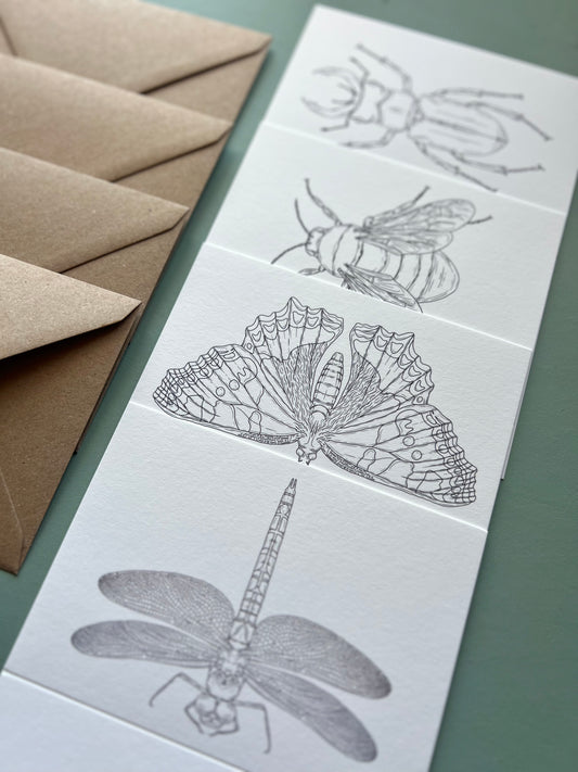 British Insects Colouring in Card Set